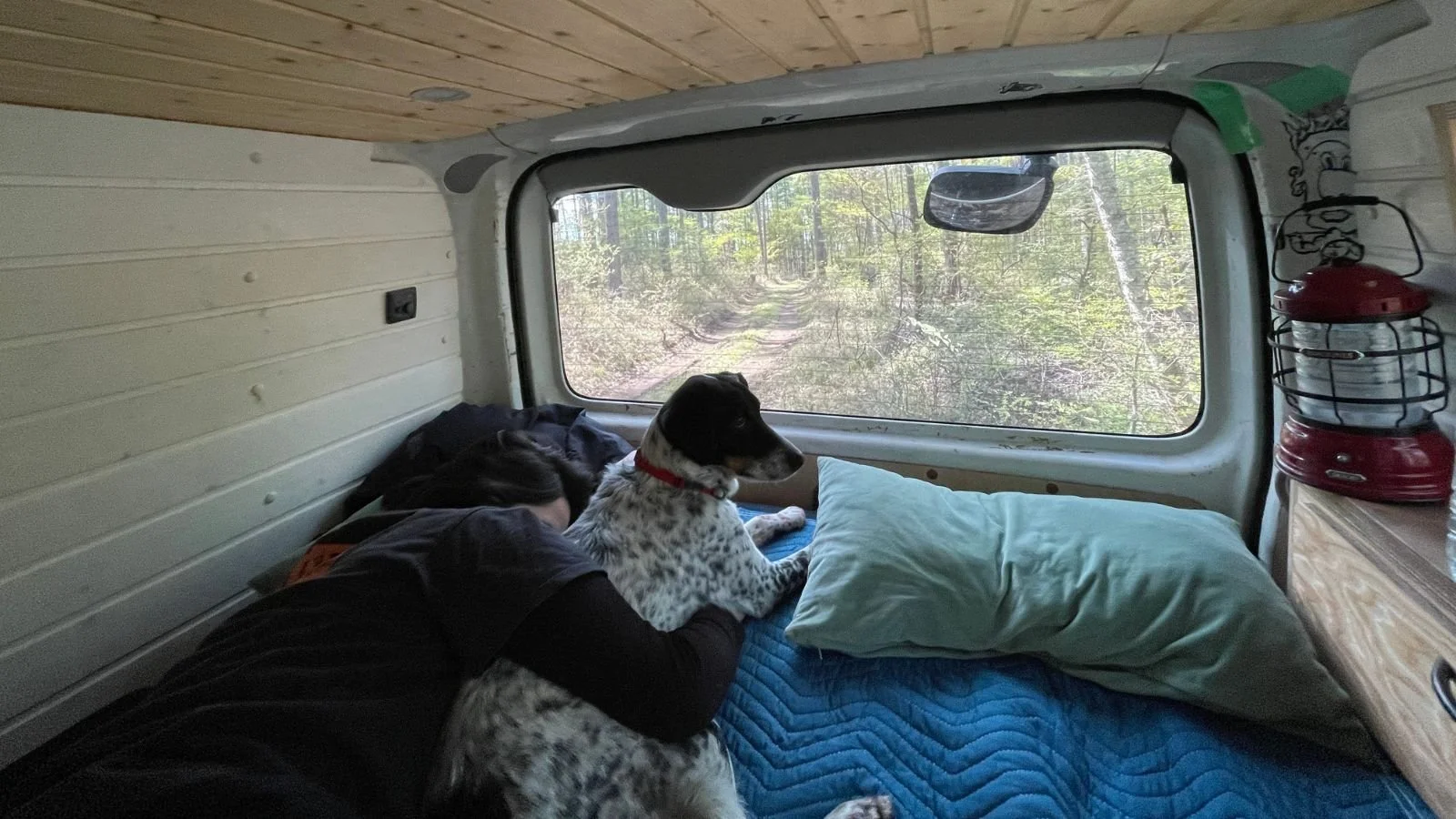 Pet friendly campervan trip in Japan with dog