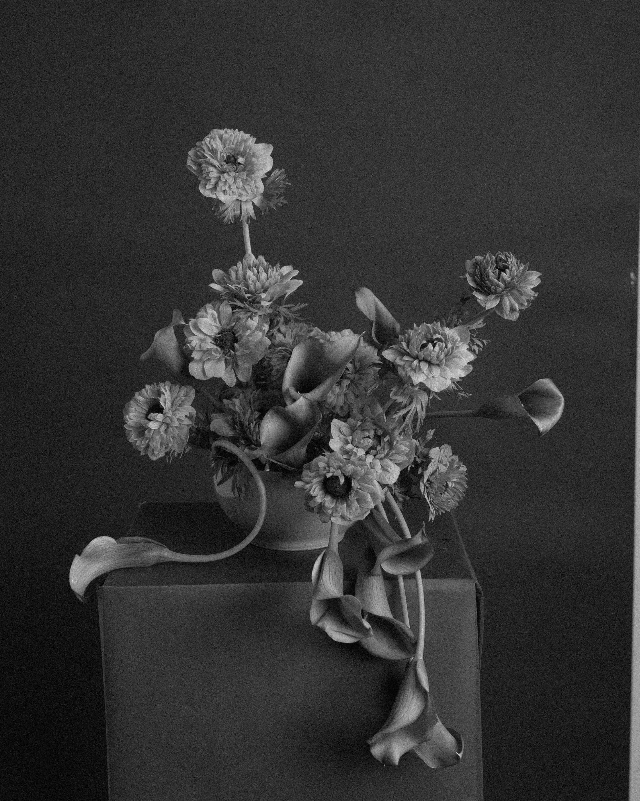 Fotografía de estudio, Ikebana por DAGA Studio