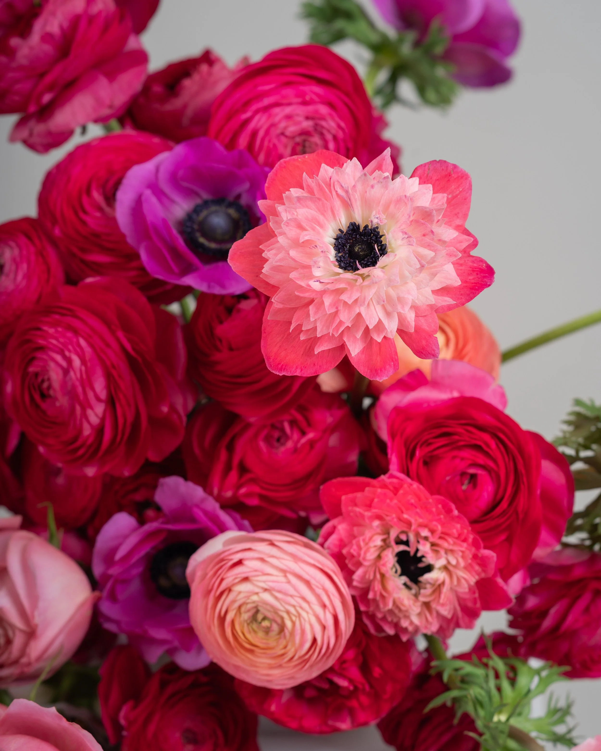 Fotografía de estudio, arreglo floral por DAGA Studio en colaboración con Rosa Prima