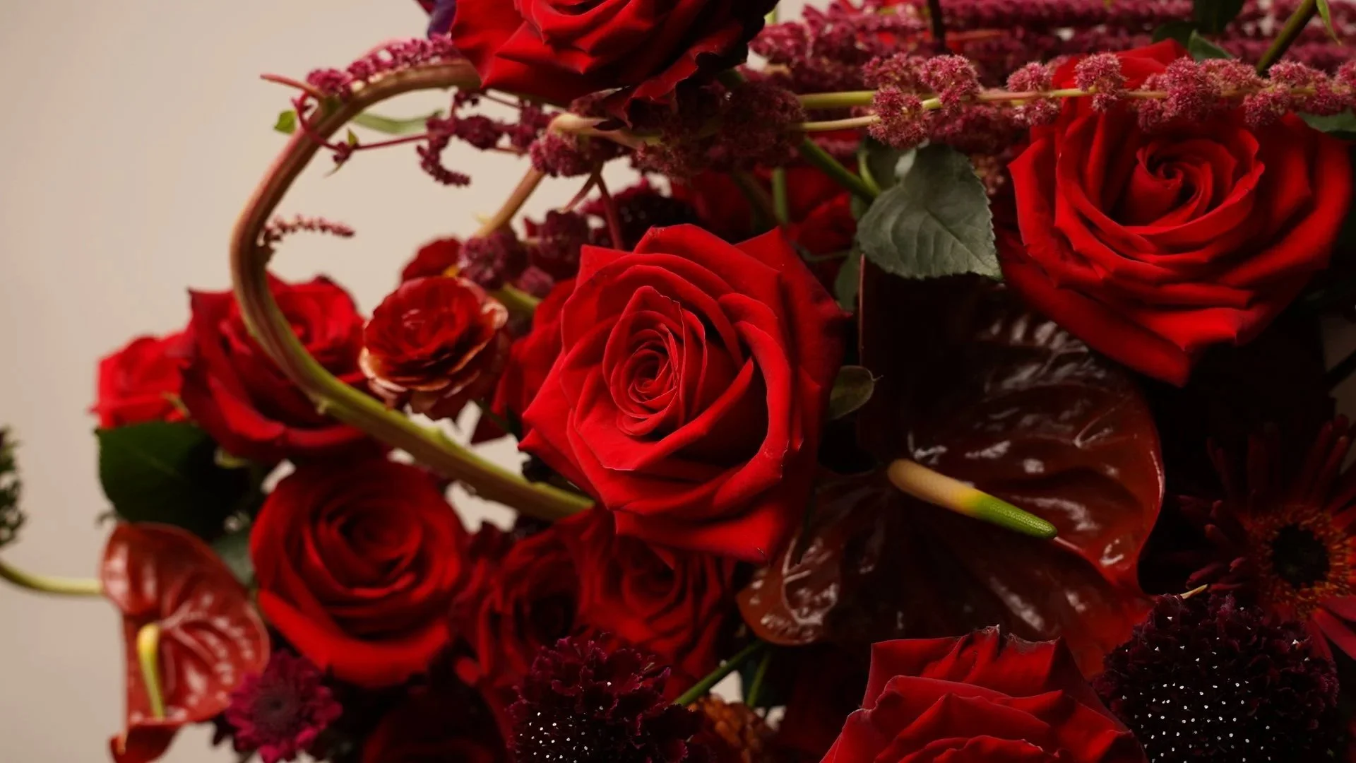 Fotografía de estudio, Valentine's Day - Sunrite Farms por DAGA Studio