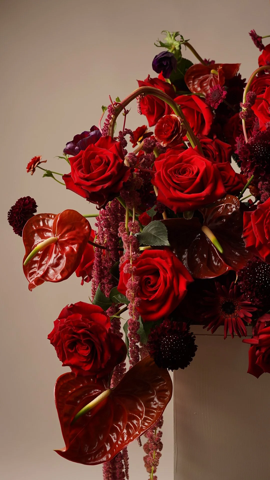 Fotografía de estudio, Valentine's Day - Sunrite Farms por DAGA Studio