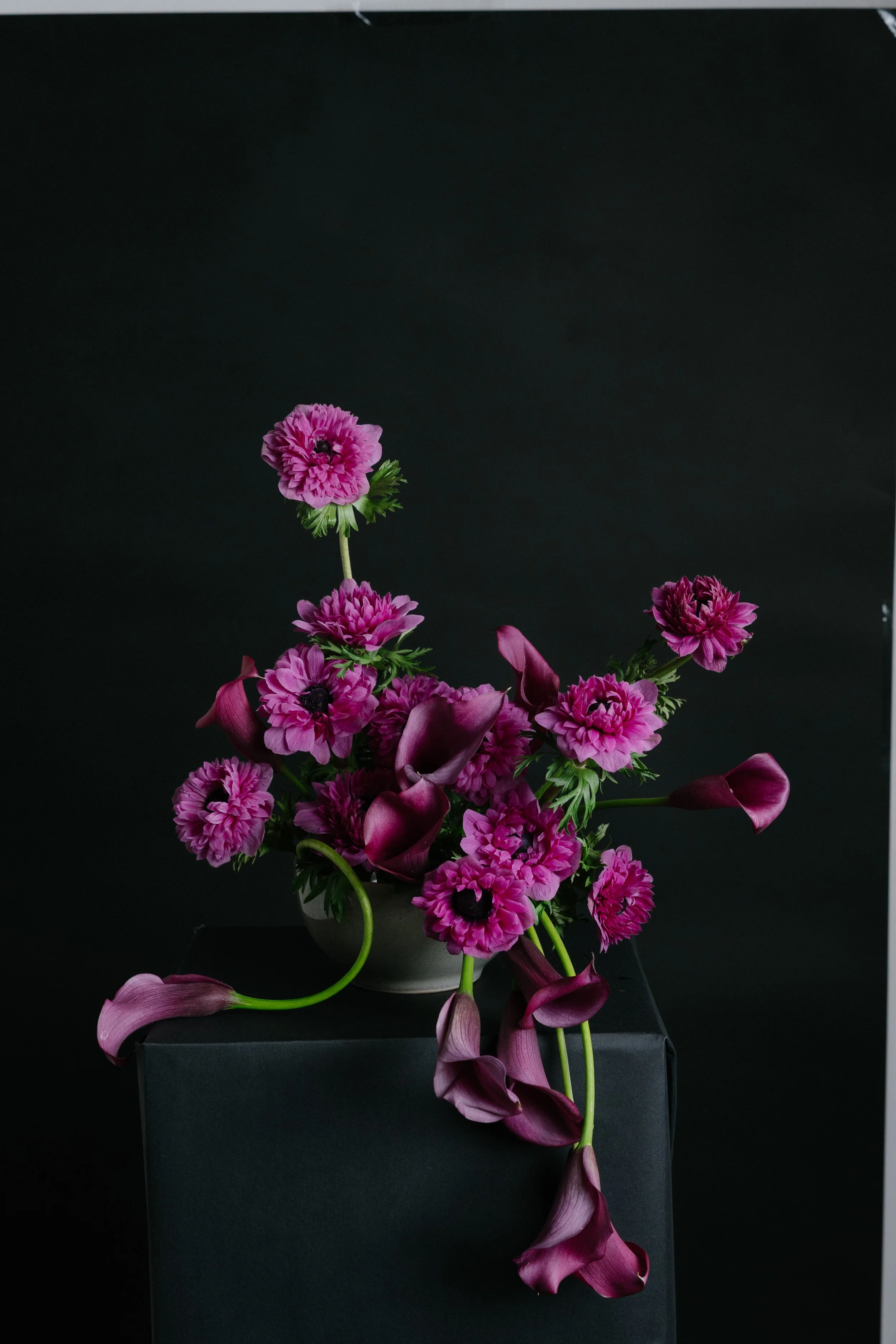 Fotografía de estudio, Ikebana por DAGA Studio