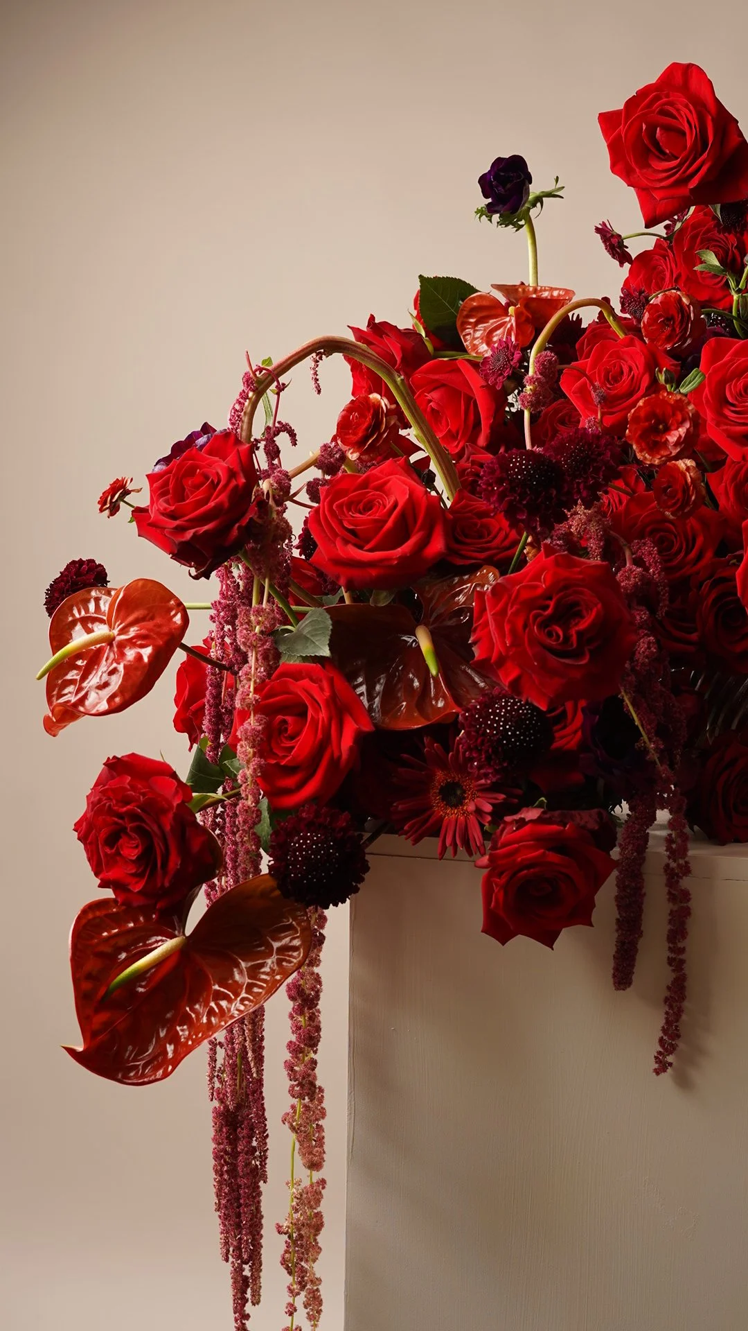 Fotografía de estudio, Valentine´s Day - Sunrite Farms por DAGA Studio