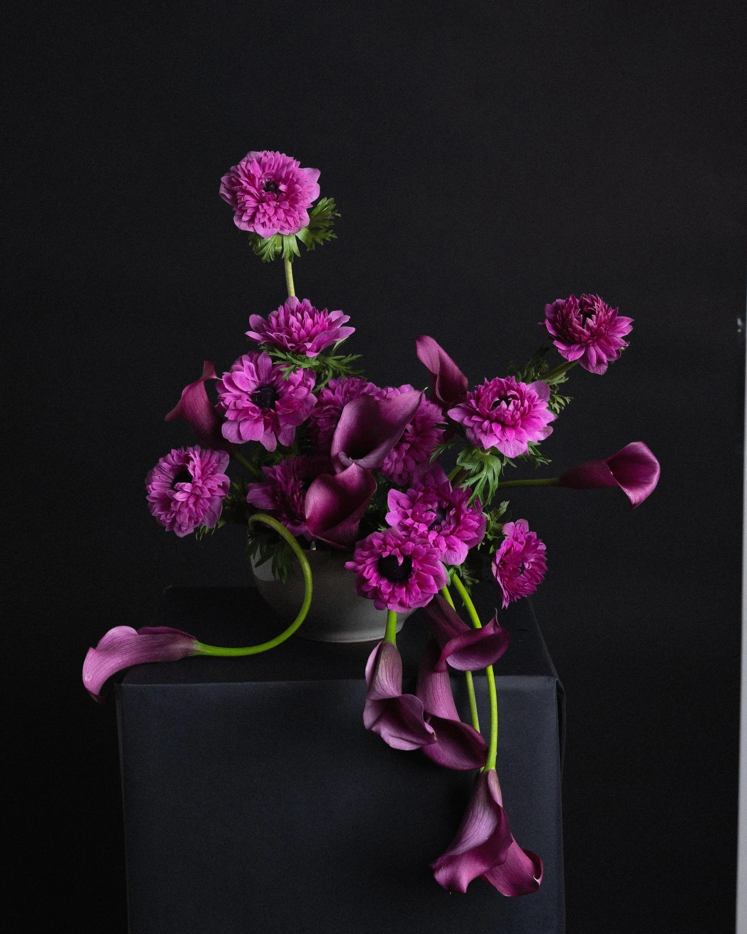 Fotografía de estudio, Ikebana por DAGA Studio