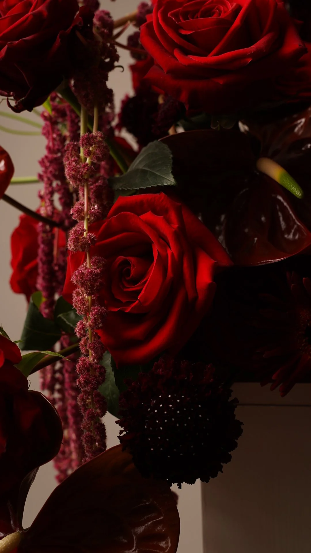 Fotografía de estudio, Valentine's Day - Sunrite Farms por DAGA Studio