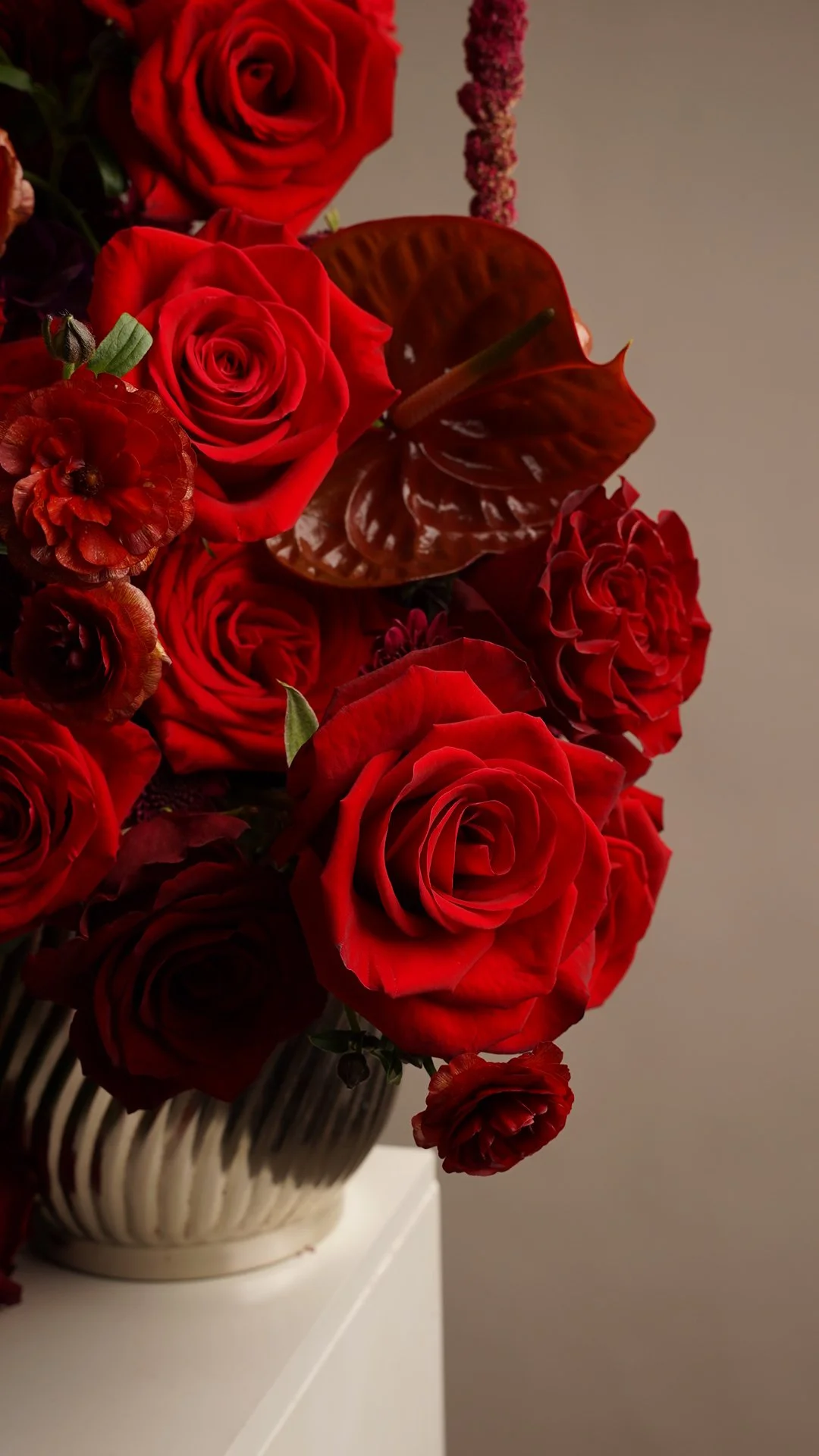 Fotografía de estudio, Valentine's Day - Sunrite Farms por DAGA Studio