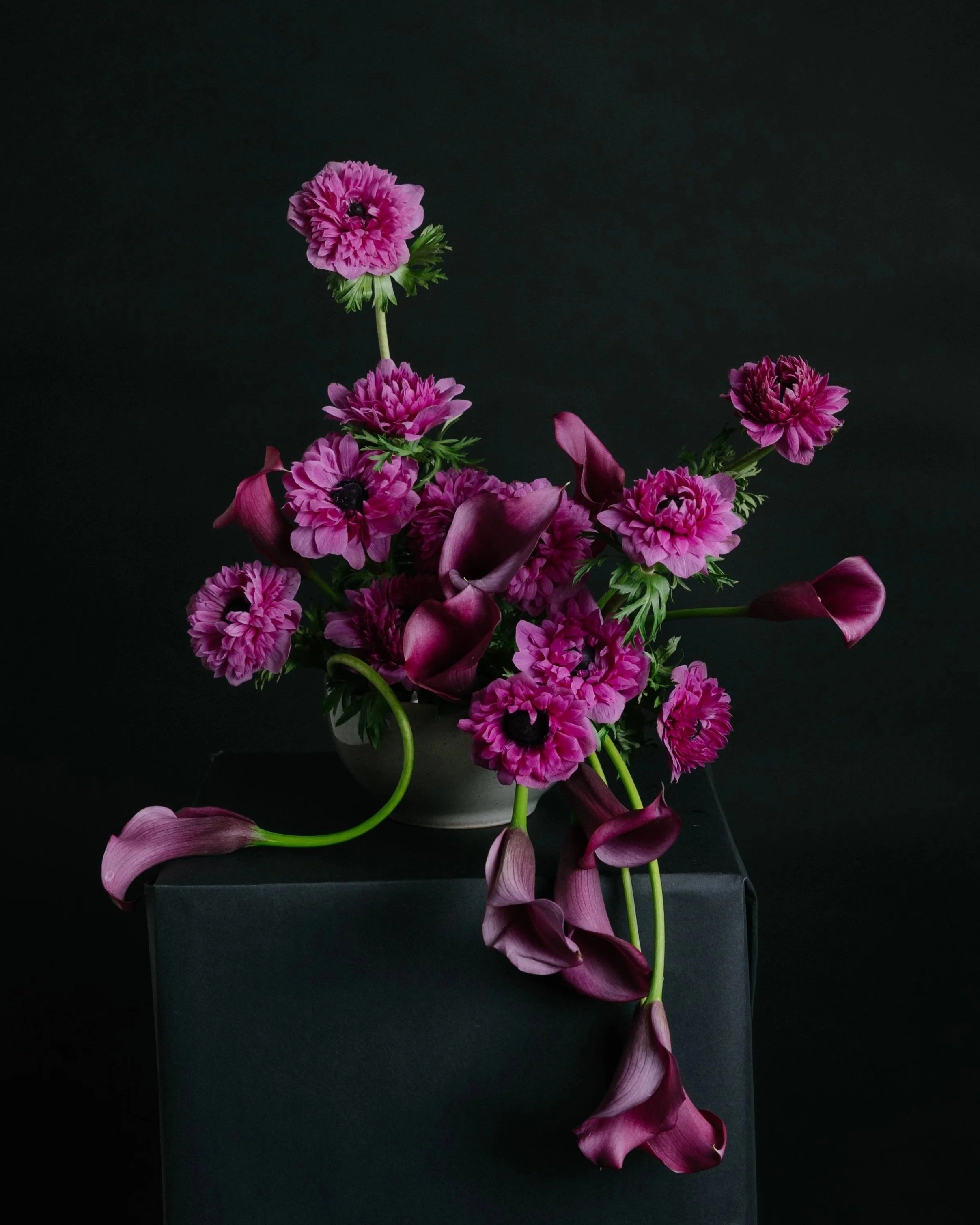 Fotografía de estudio, Ikebana por DAGA Studio