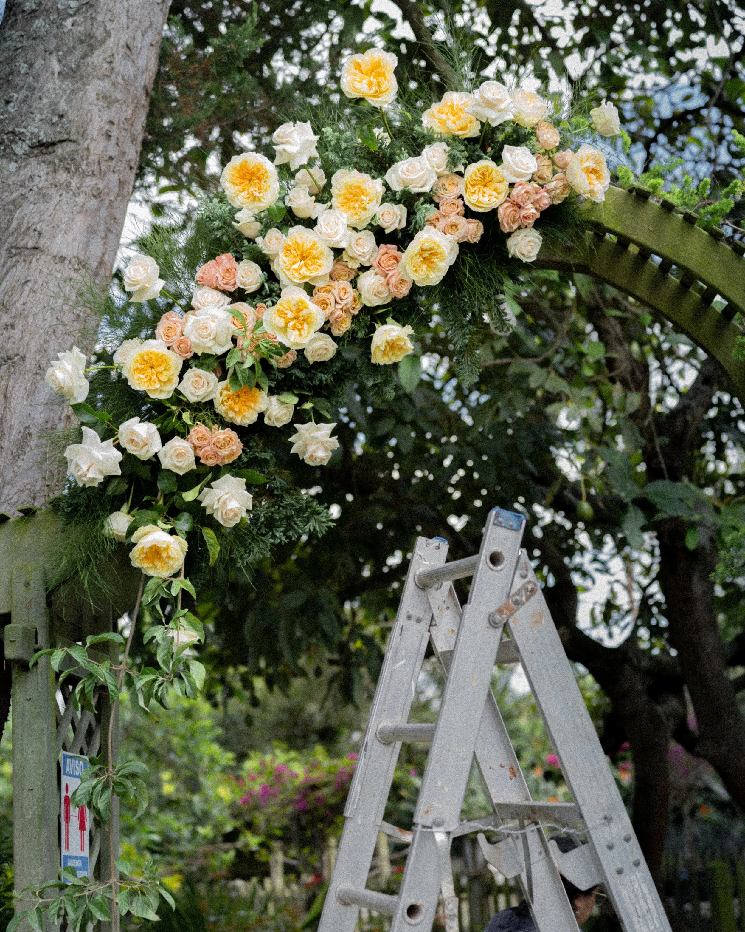 Boda Ale y Robby, Bautizo Carlota, arreglos florales por DAGA Studio