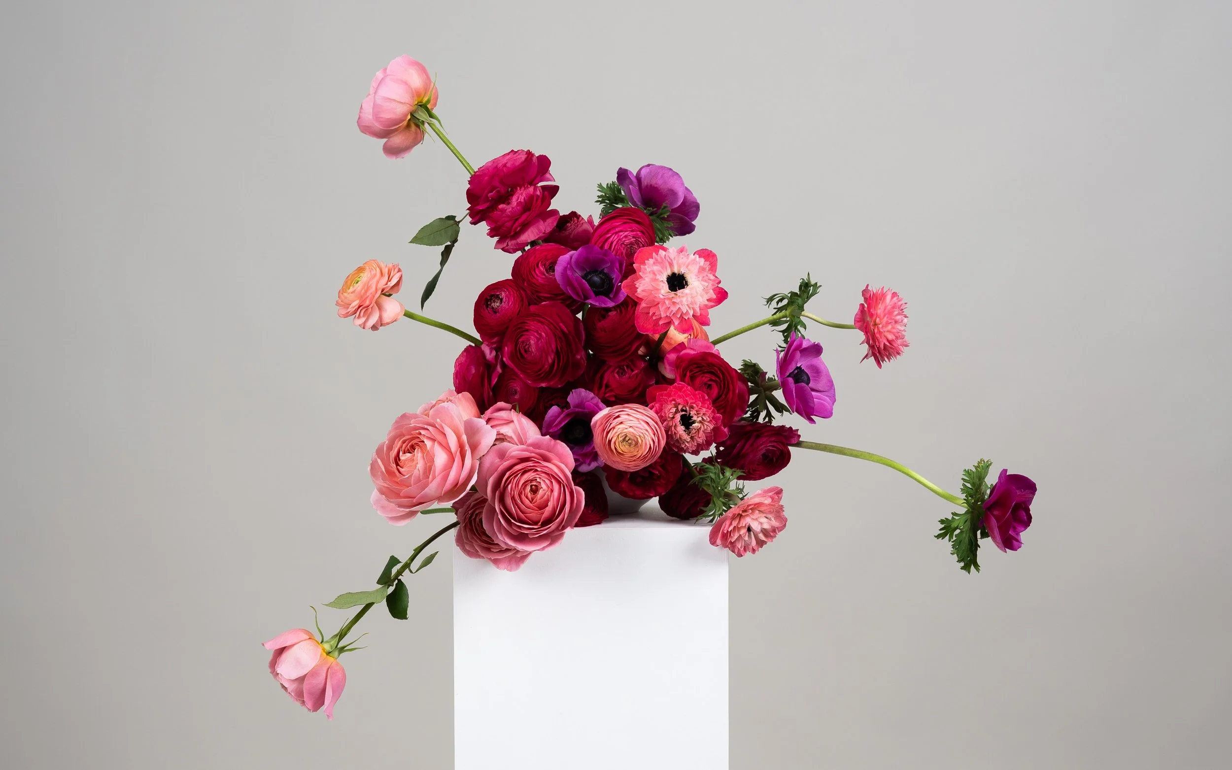 Fotografía de estudio, arreglo floral por DAGA Studio en colaboración con Rosa Prima