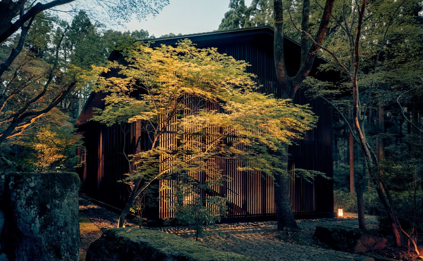 Modern black building surrounded by trees and illuminated by outdoor lights during the evening.