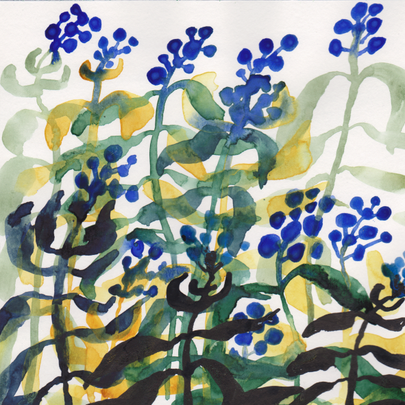 Watercolor painting of blue berries and green leaves with yellow accents.