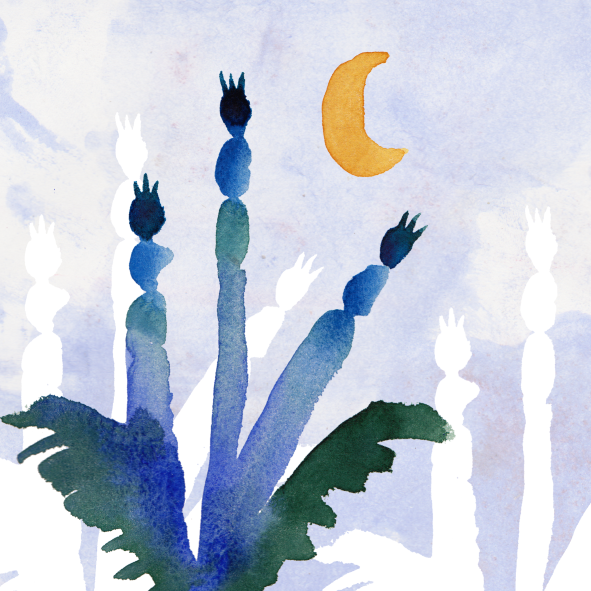 Watercolor painting of a flower with multiple stalks and buds under a night sky with a crescent moon