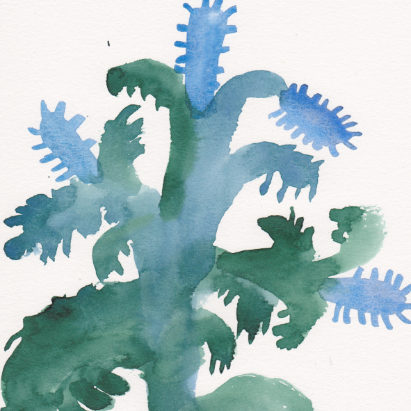 Watercolor painting of a cactus plant with green and blue hues.