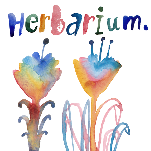 Colorful watercolor illustration of two hand-painted herbarium plants with the words "Herbarium" written above in multicolored letters.