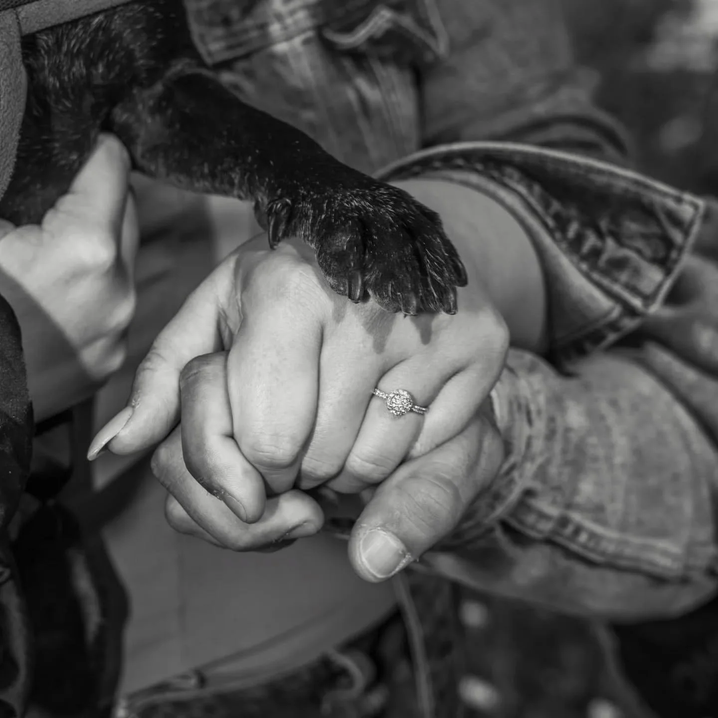 &Eta; &alpha;&gamma;ά&pi;&eta; &mu;&alpha;&sigmaf; έ&gamma;&iota;&nu;&epsilon; &upsilon;&pi;ό&sigma;&chi;&epsilon;&sigma;&eta; &zeta;&omega;ή&sigmaf; 💍
&Sigma;ύ&nu;&tau;&omicron;&mu;&alpha; &gamma;&iota;&nu;ό&mu;&alpha;&sigma;&tau;&epsilon; &sigma;ύ