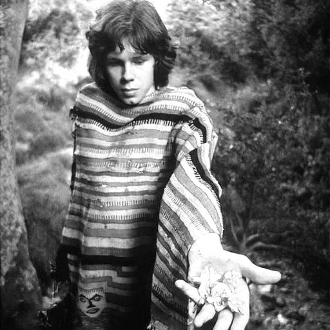 The Forgotten Troubadours of the 1970s - Nick Drake's Pink Moon