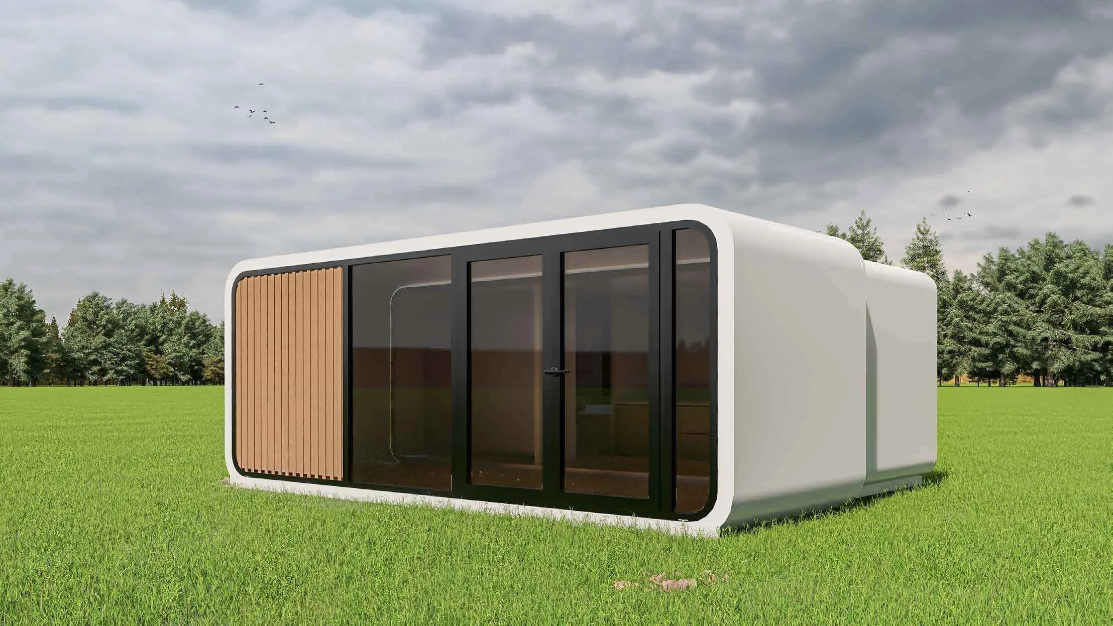 A modern tiny house with a white exterior, black-framed glass doors, and one wooden panel sliding door, situated in a grassy field with trees and cloudy sky in the background.