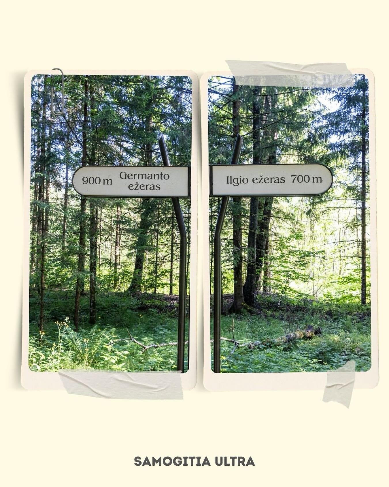 Samogitia Ultra starting corral will be located right next to lake Germantas and the track will also reach another lake - a mystical lake Ilgis unique for it&rsquo;s dark colour. 

Everyone taking part in the race is welcome to camp out before or aft