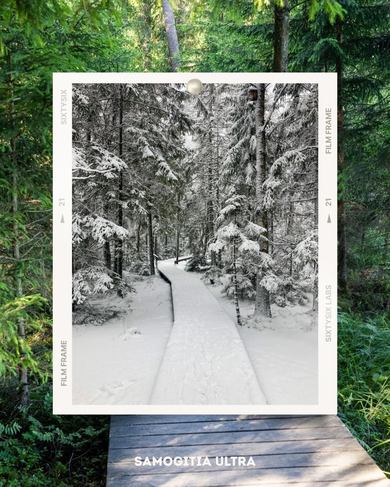 ❄️ January is here and price increase is approaching. Register today and lock in 🔒 the cheapest price. 

‼️ Price increase starting 1 Feb. 2026.

🇱🇹➡️ Registracijos kaina kyla nuo vasario 1. 

🐻 Register now &amp; lock in the best price.
🏁 Race 