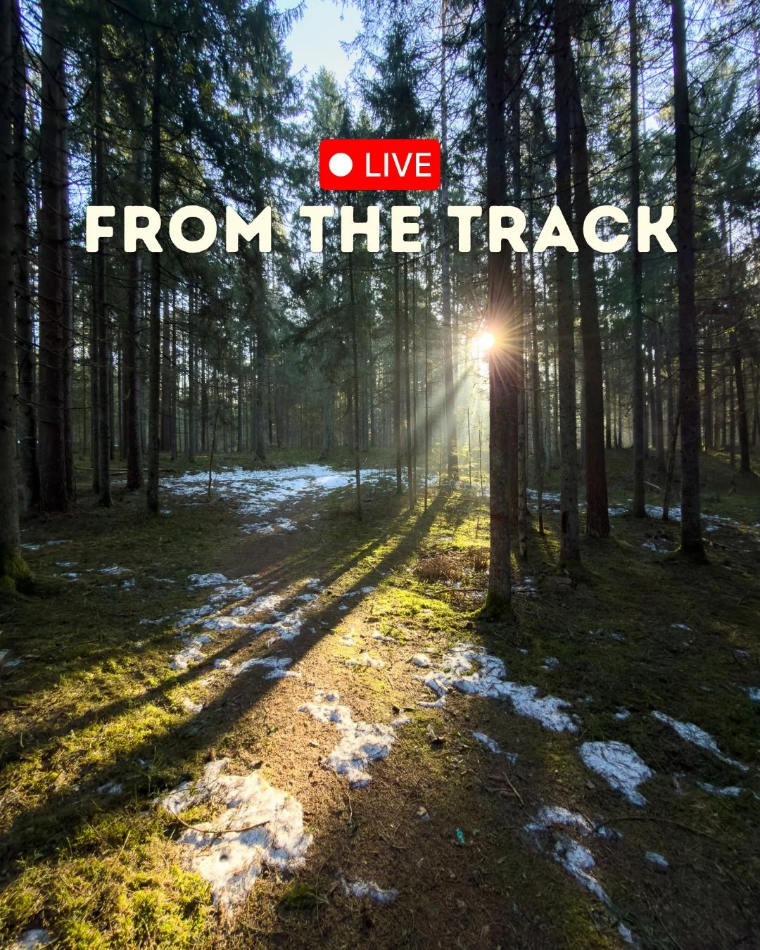 📸 This is how the track looks today - March 19, 2026.

🌿 Spring is on its way. Nature is waking up. And with less than 80 days to go, the energy around the first edition of Samogitia Ultra 2026 is rising. 🧘&zwj;♂️

We cannot wait to see you all in