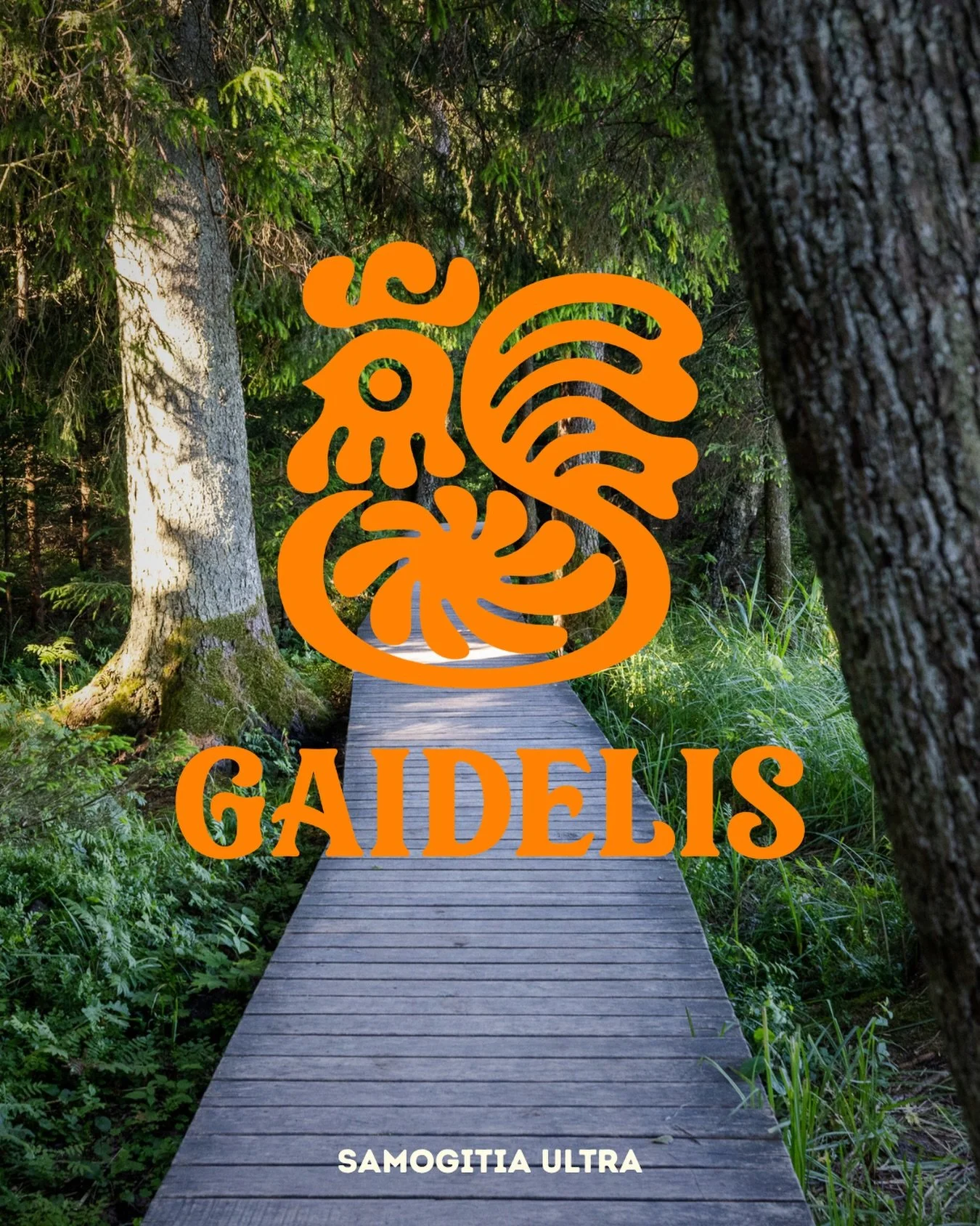 &Scaron;ių metų Samogitia Ultra kalorijų deficitą padės mažinti @gaidelis_klasika 🙌

#Gaidelis #GaidelisKlasika #SamogitiaUltra #LastManStanding