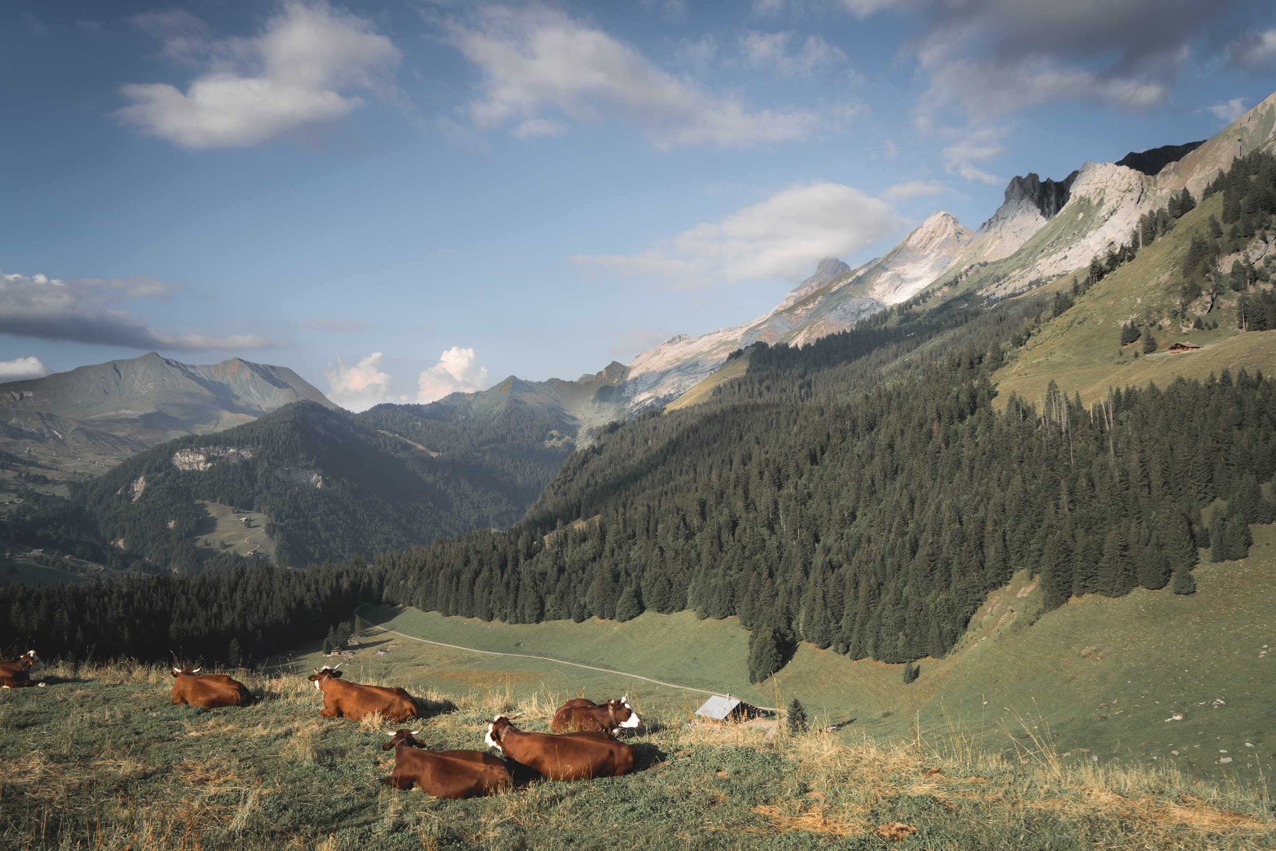 reportage-touristique-tours.jpg