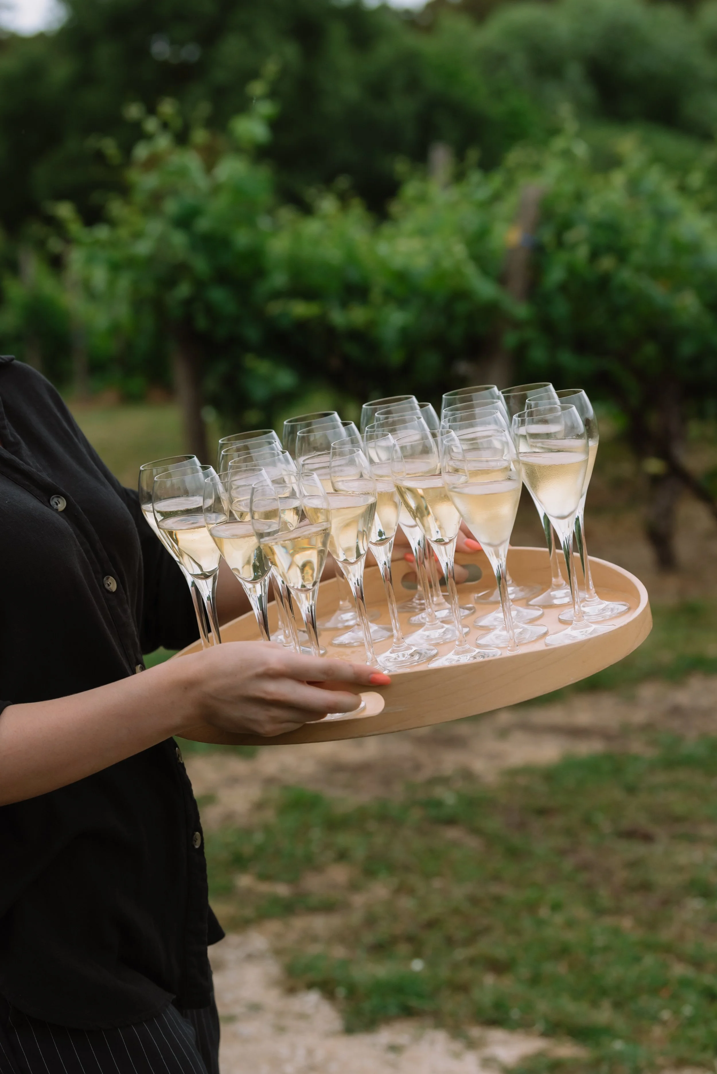 Person holding a tray with multiple glasses of champagne outdoors in a vineyard or garden setting.