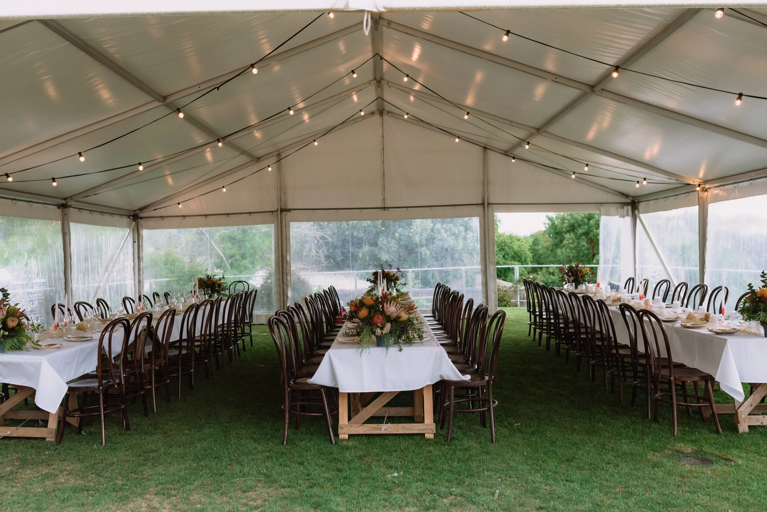Wedding reception setup inside a large tent with long rectangular tables covered in white tablecloths, decorated with floral centerpieces, and surrounded by dark wooden chairs. String lights are hanging from the ceiling, creating a warm ambiance. Outside greenery is visible through the transparent sides of the tent.