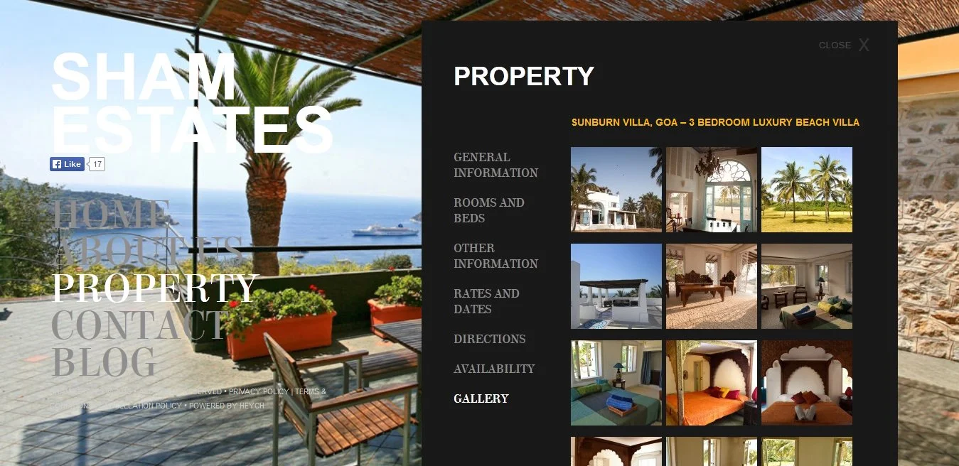 shamestates gallery.jpg