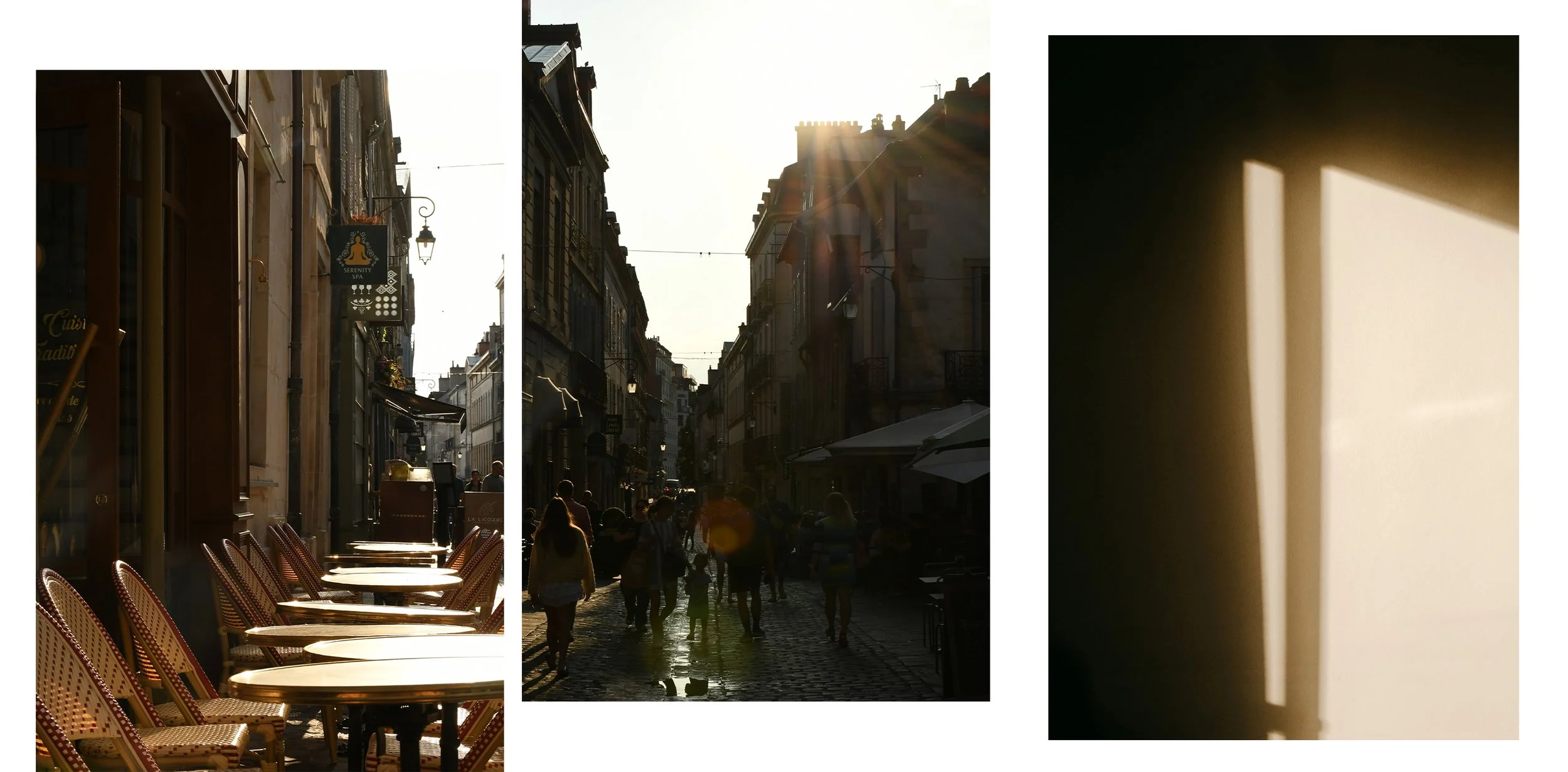 dijon-a-contre-jour.jpg