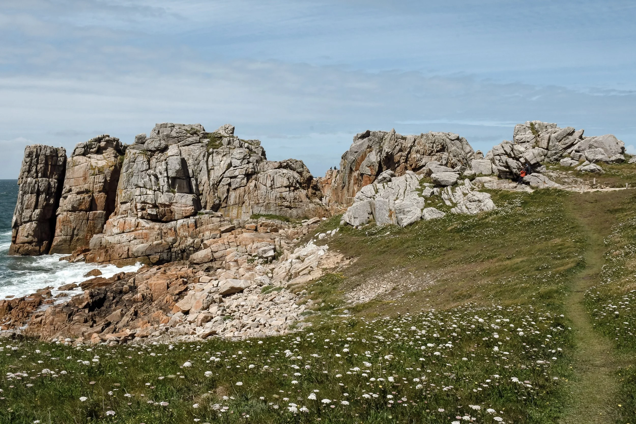 gouffre-de-plougrescant-vegetation.jpg