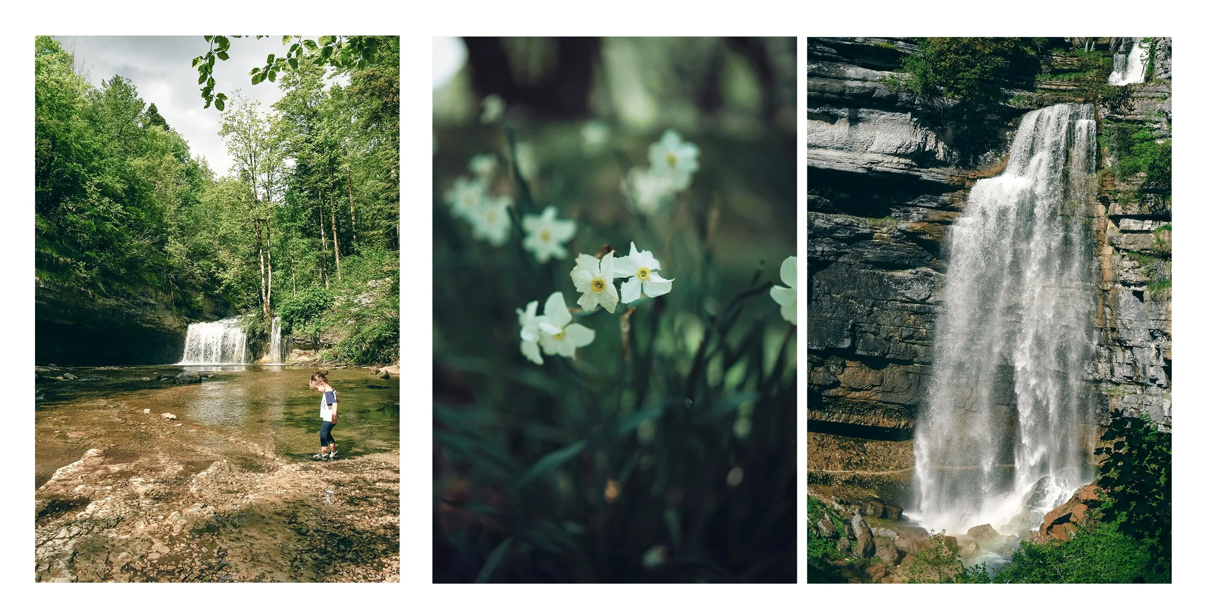 Trois photographies de cascades et de fleurs dans la nature. La première montre un enfant sur une pierre au bord d'une cascade dans une forêt verdoyante. La seconde est une macro de petites fleurs blanches avec un visage jaune au centre, dans un envi