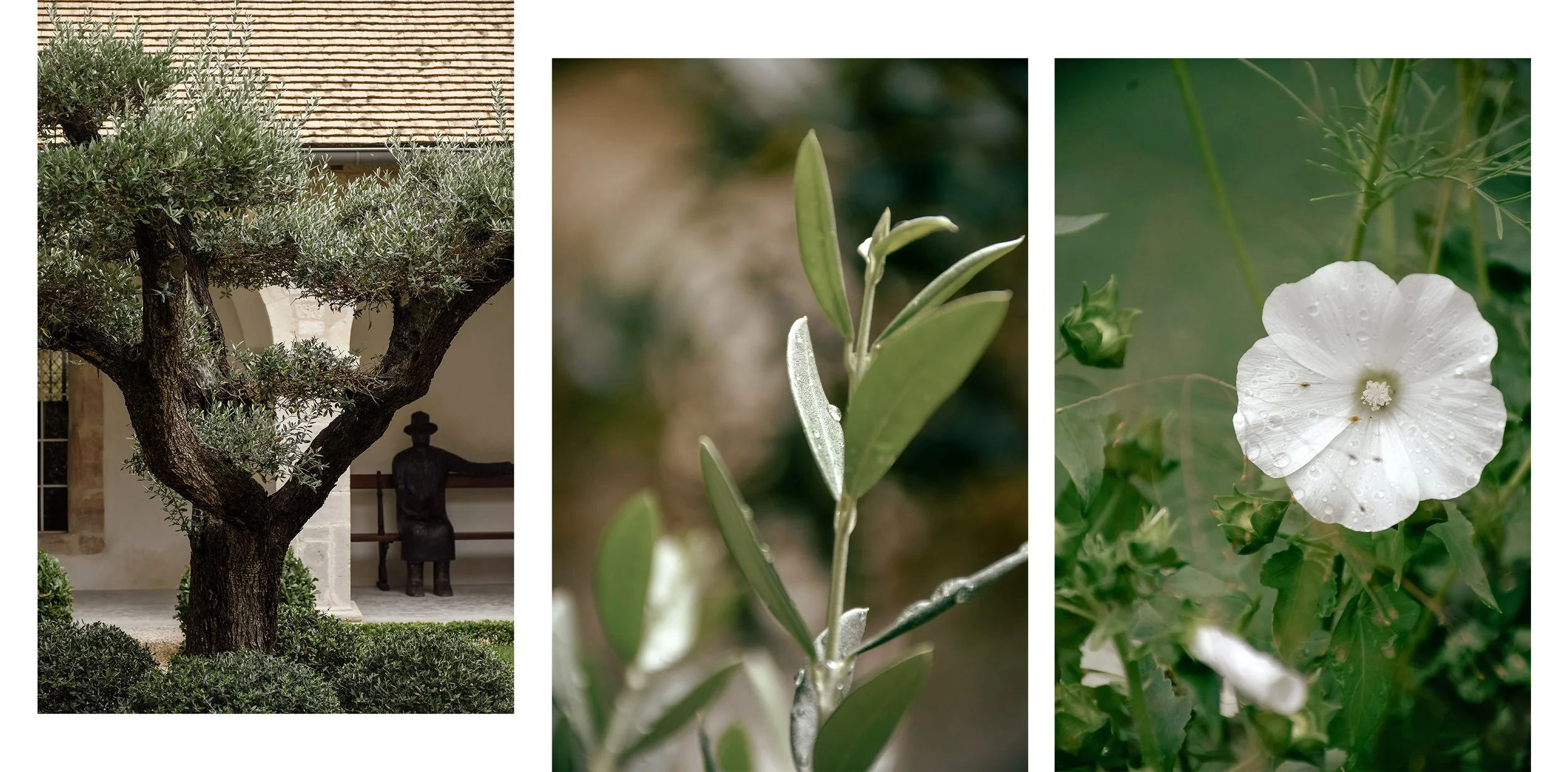 le-prieure-mouthier-haute-pierre-cloitre-triptyque-photos-sandrine-baverel.jpg