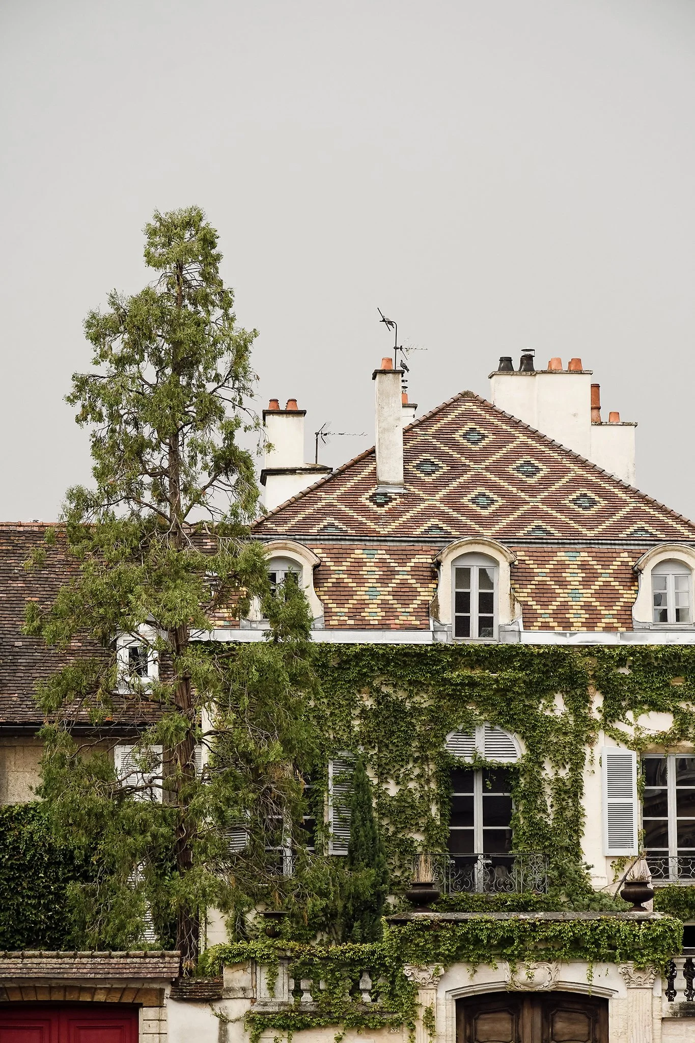 dijon-patrimoine-tuiles-vernissees.jpg