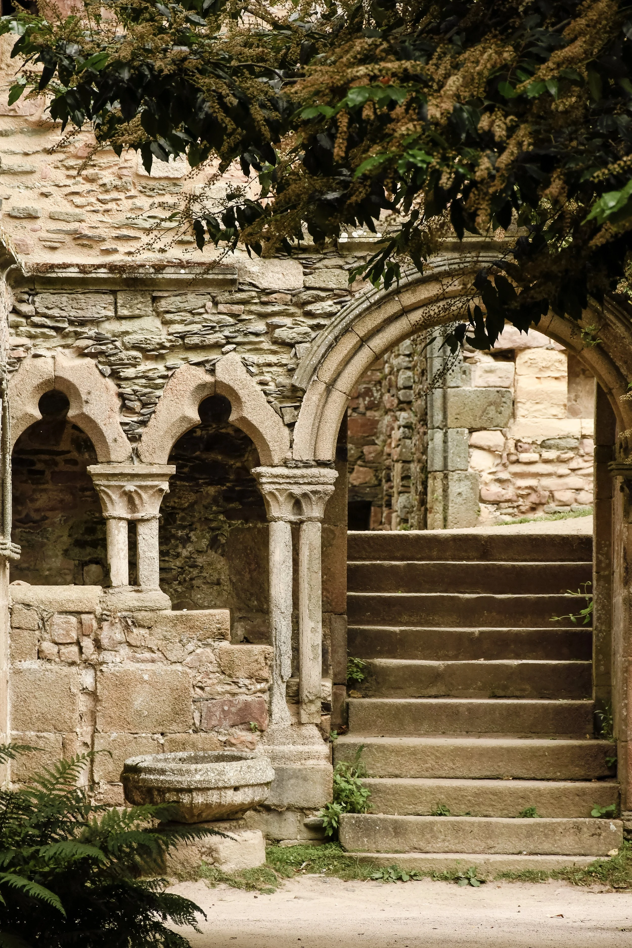 abbaye-de-beauport-arches.jpg