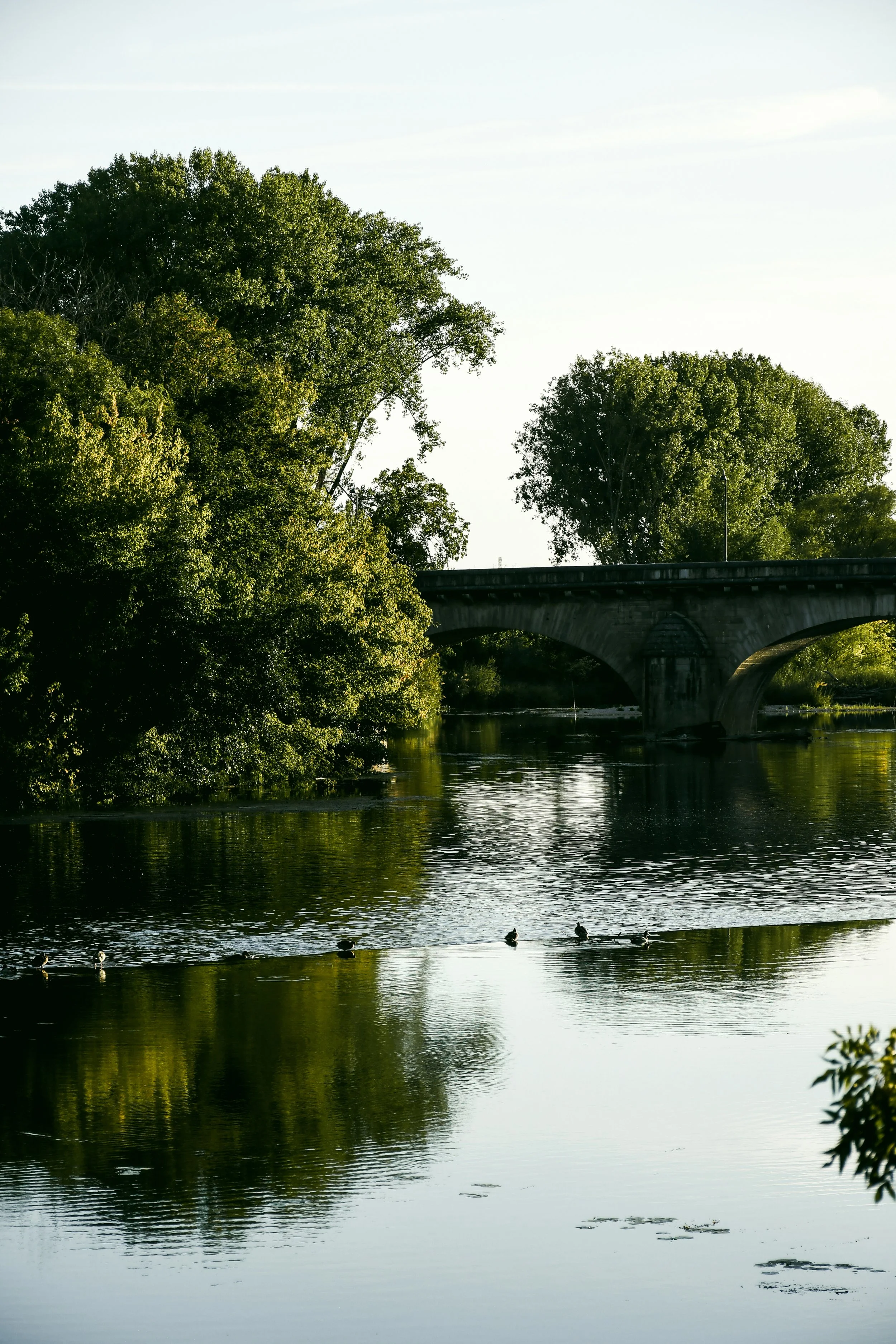 dole-nature-doubs-sandrine-baverel.jpg