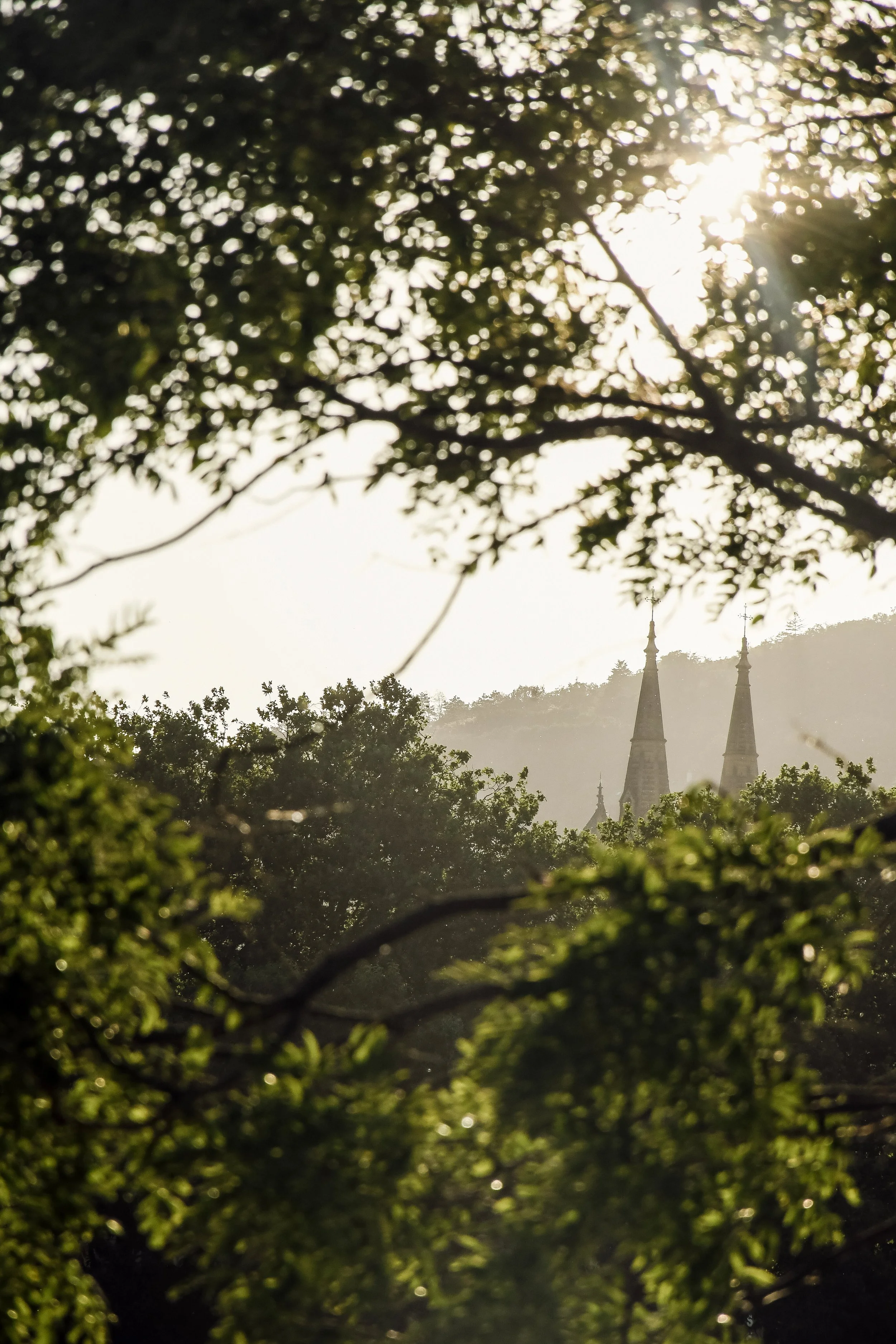 Vue floue d'un bâtiment avec deux pointes, probablement une église, caché derrière des arbres verts, avec le soleil brillant à travers les feuilles.