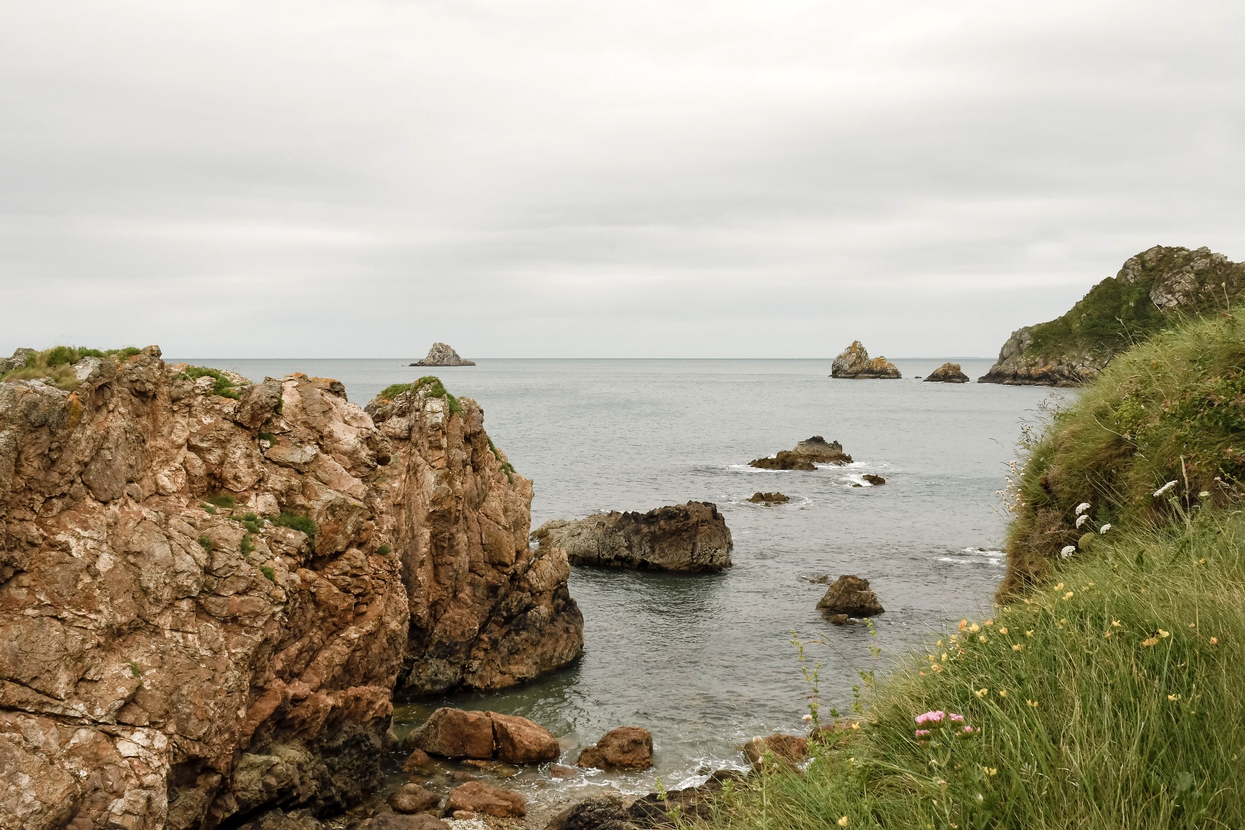 route-des-falaises-nature.jpg