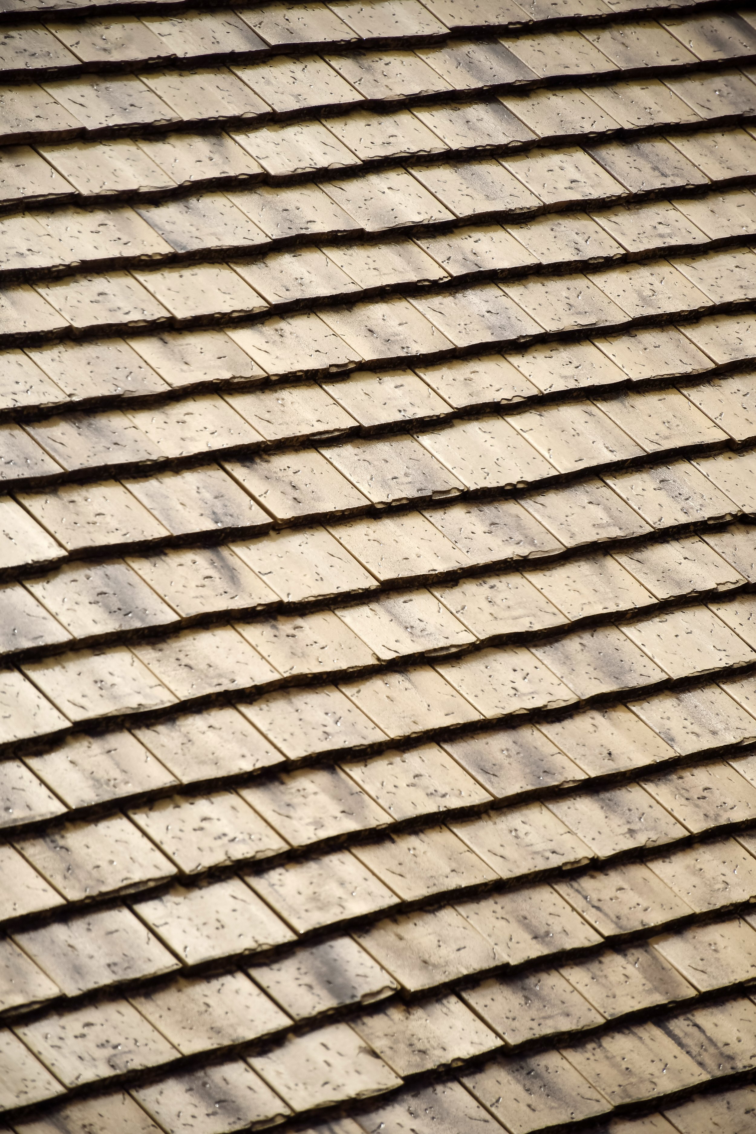 prieure-de-mouthier-haute-pierre-detail-toit-sandrine-baverel.jpg