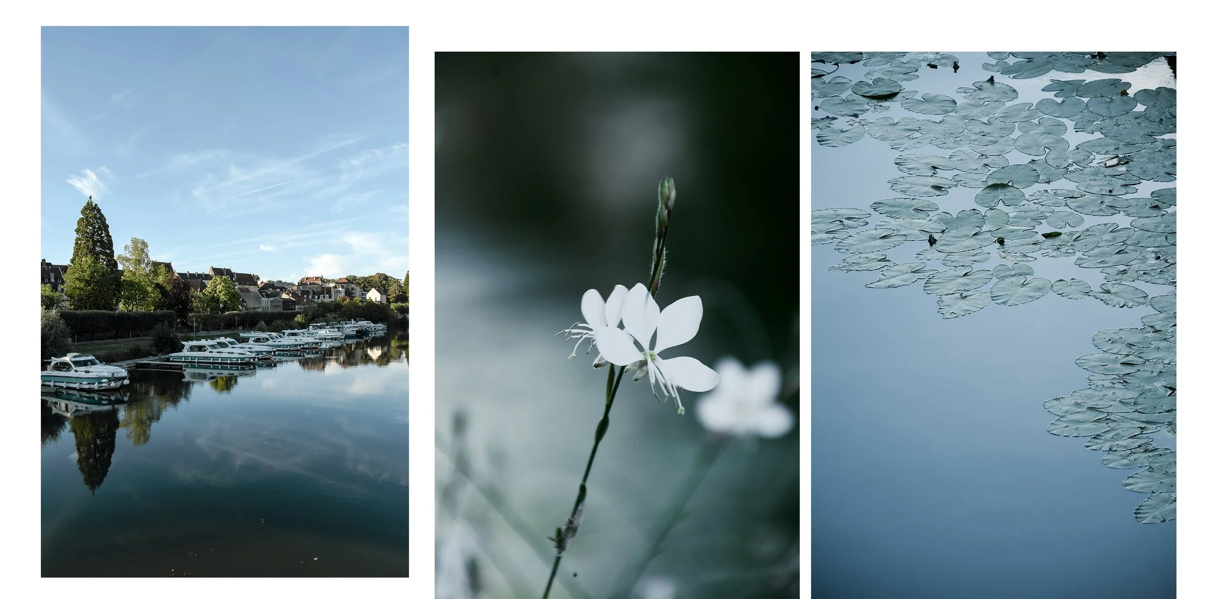 dole-details-sandrine-baverel-triptyque-photos.jpg