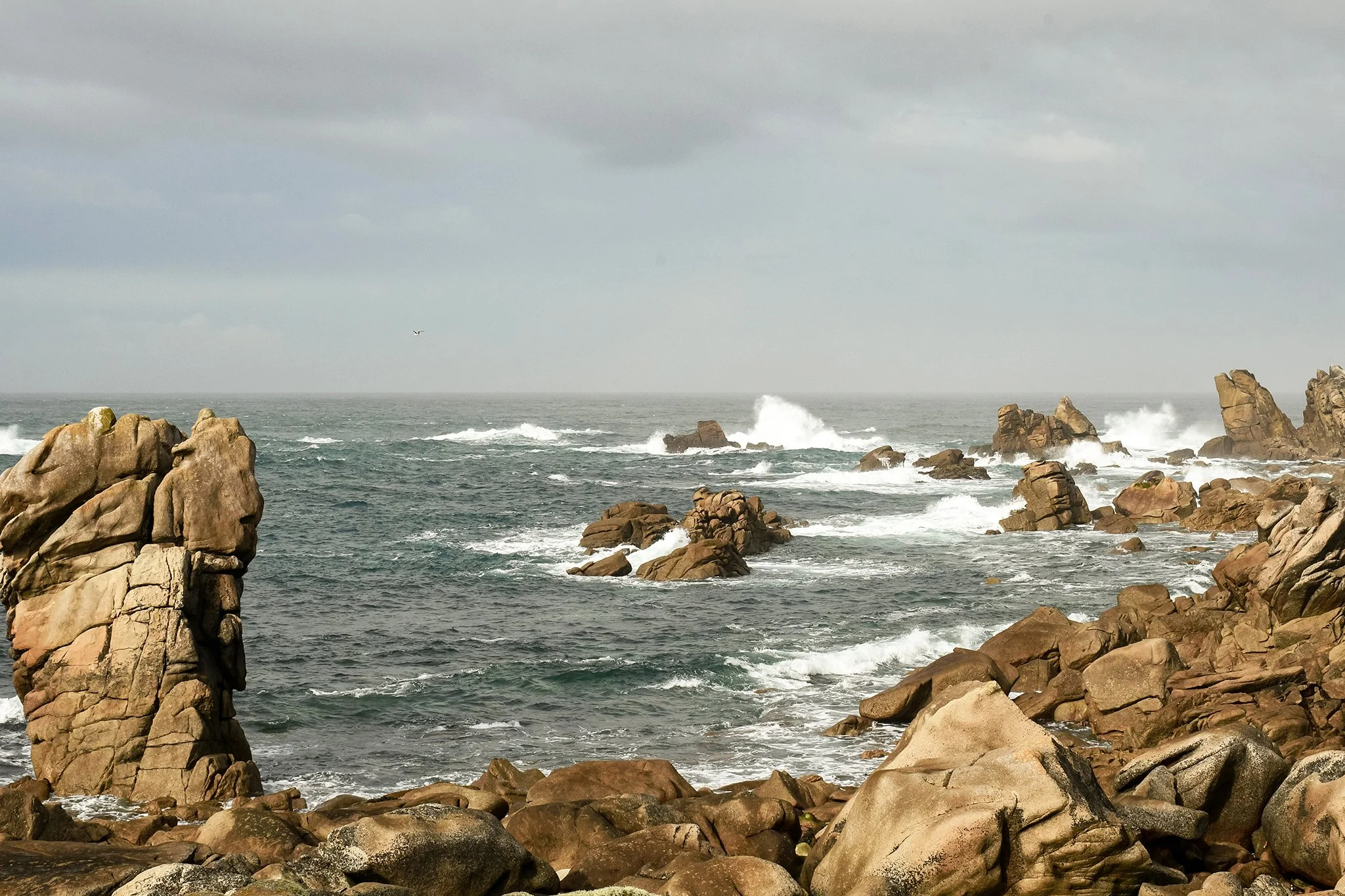 ouessant-mer-falaise-lumiere-douce-sandrine-baverel-photo.jpg