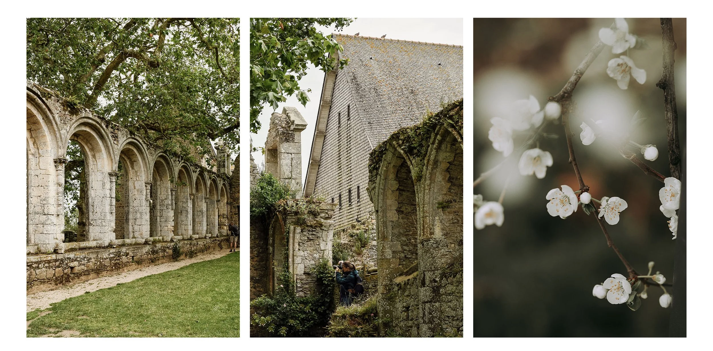 abbaye-de-beauport.jpg
