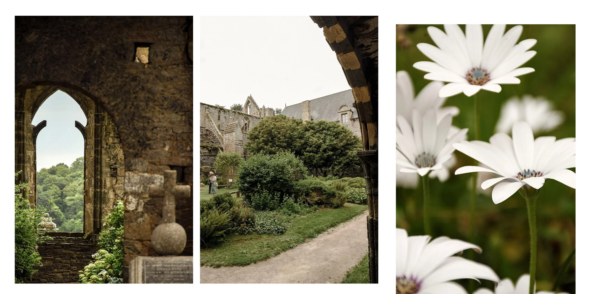 abbaye-de-beauport-patrimoine.jpg