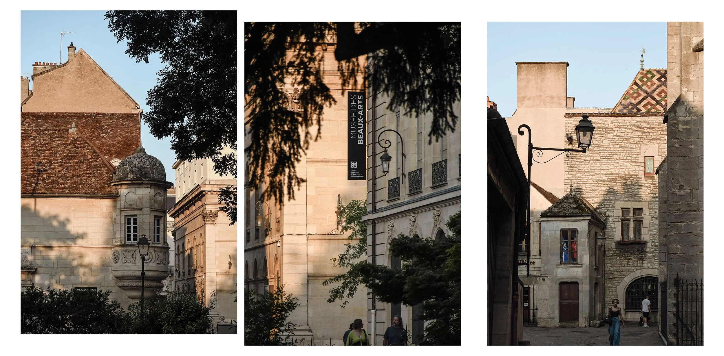 dijon-patrimoine-fin-de-journee.jpg