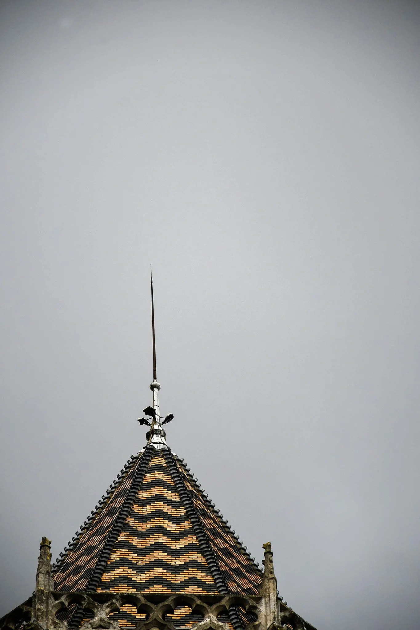 dijon-patrimoine-toit-eglise.jpg