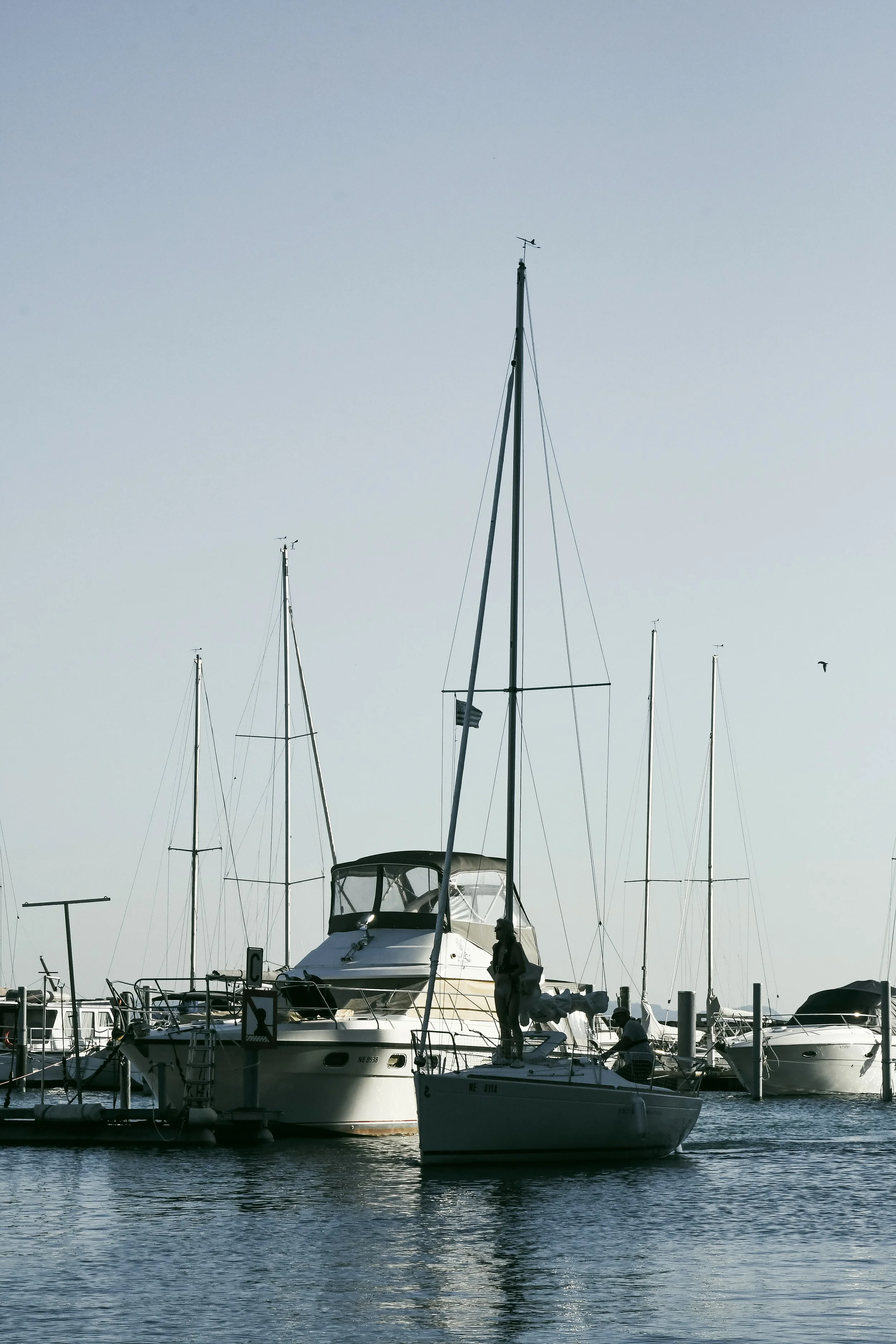 Bateaux amarrés dans un port, avec un homme debout sur un bateau au premier plan, des mouettes volent dans le ciel clair.