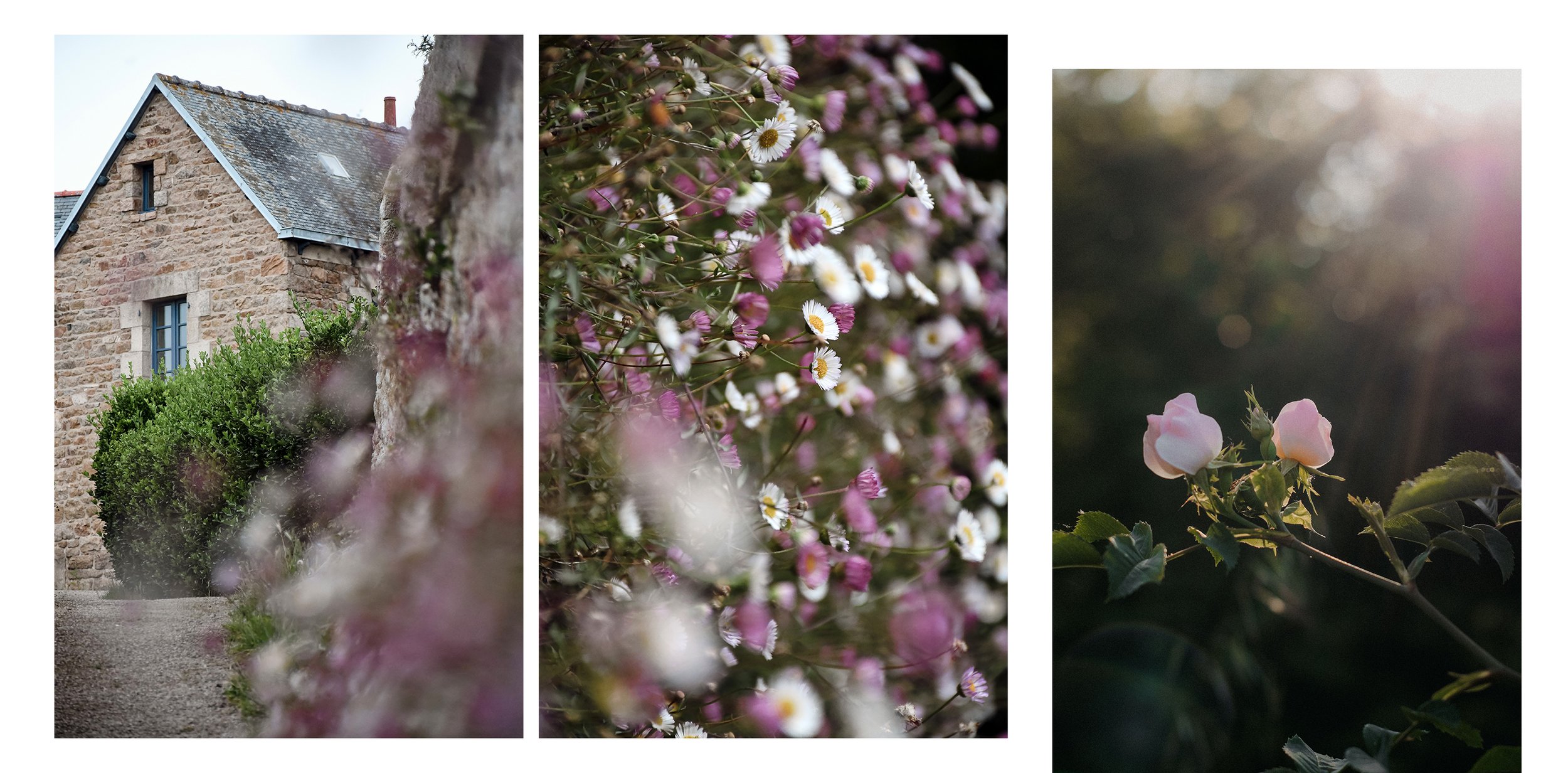 ile-de-brehat-maison-et-fleurs.jpg