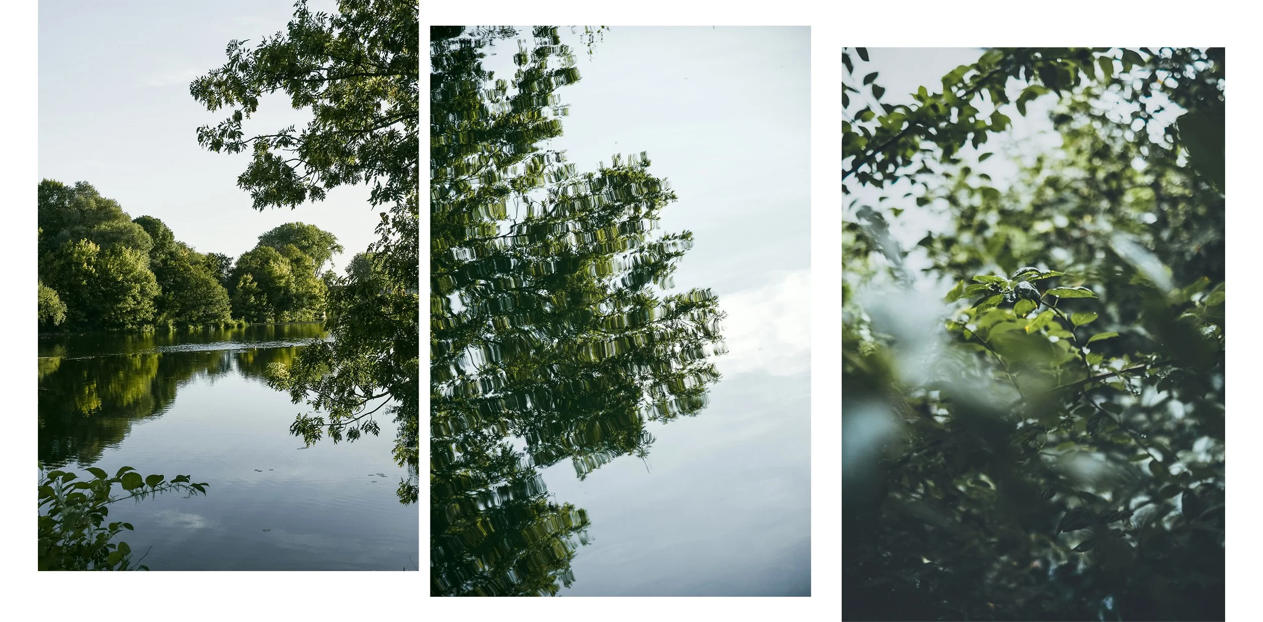 dole-nature-triptyque-photos-sandrine-baverel.jpg
