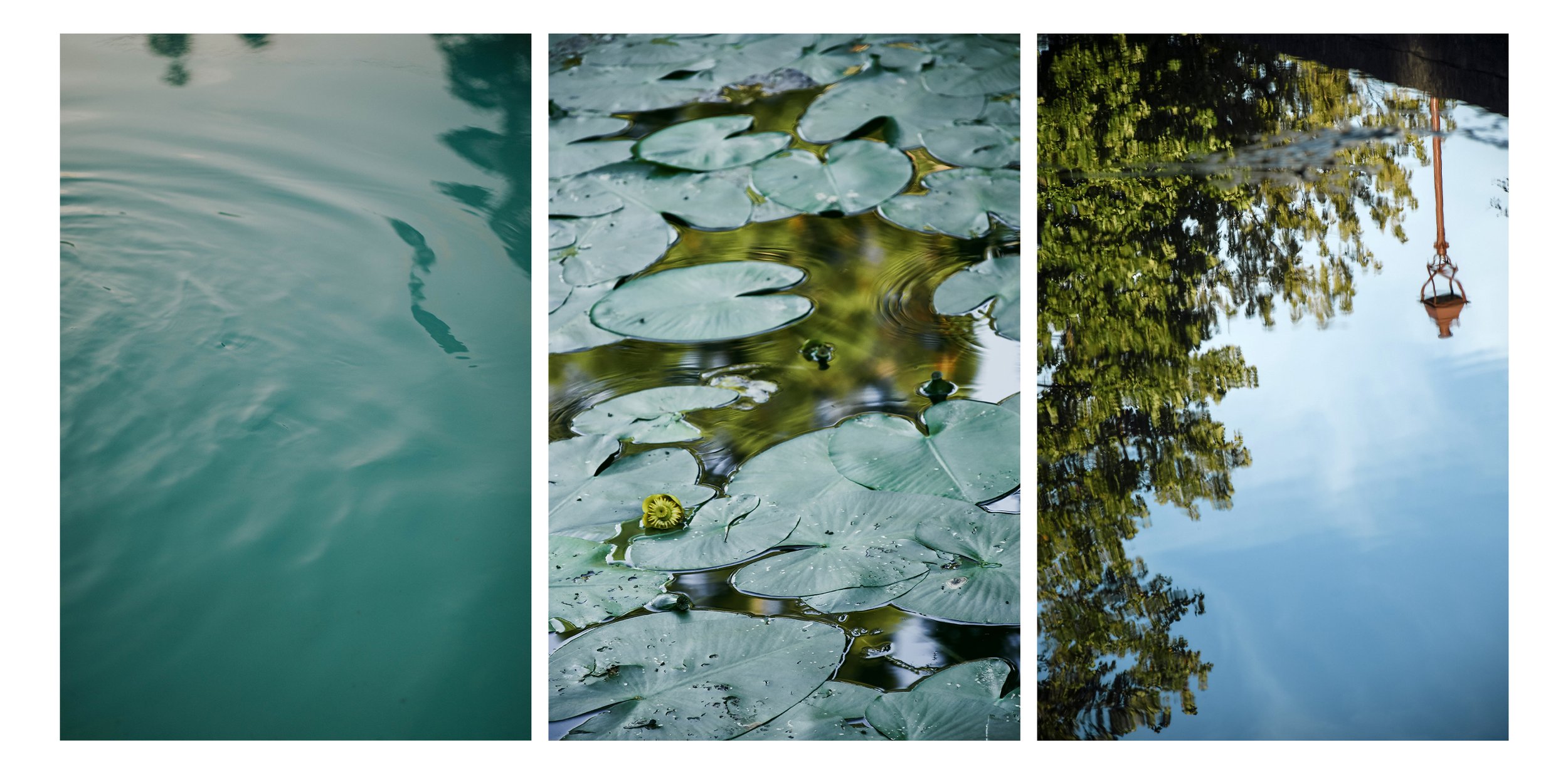 dole-reflet-eau-triptyque-photos-sandrine-baverel.jpg