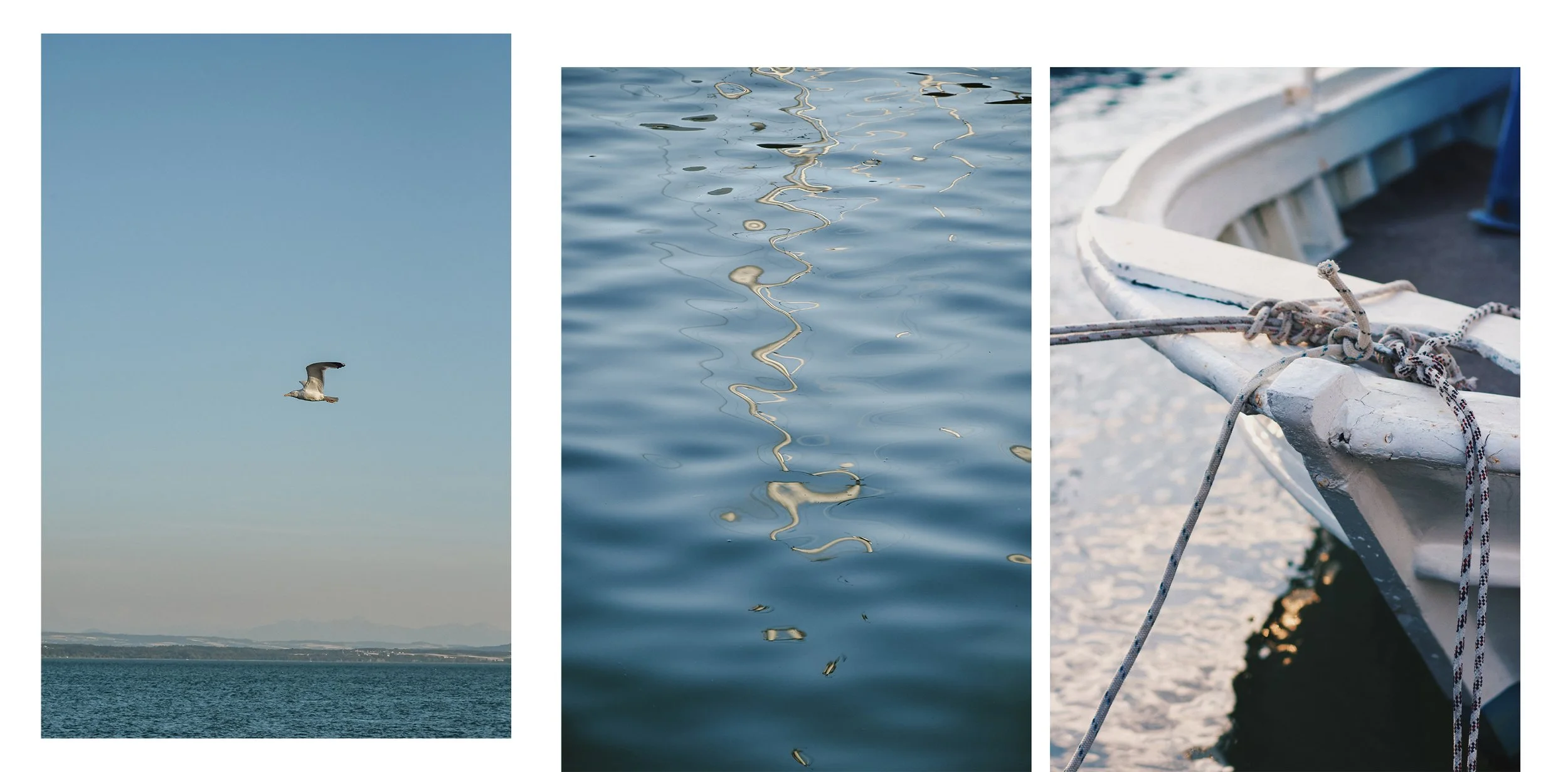 neuchatel-triptyque-photos-bateau-detail-.jpg
